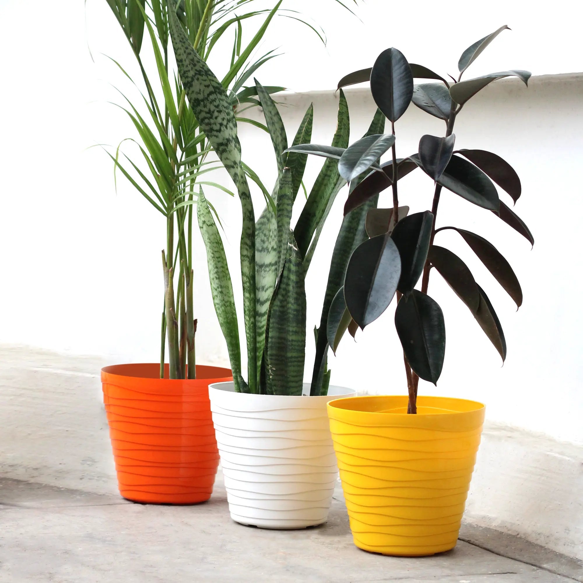 Plastic Matrix Pots Set of 3 Plastic Pot Urban Plant Multicolor 