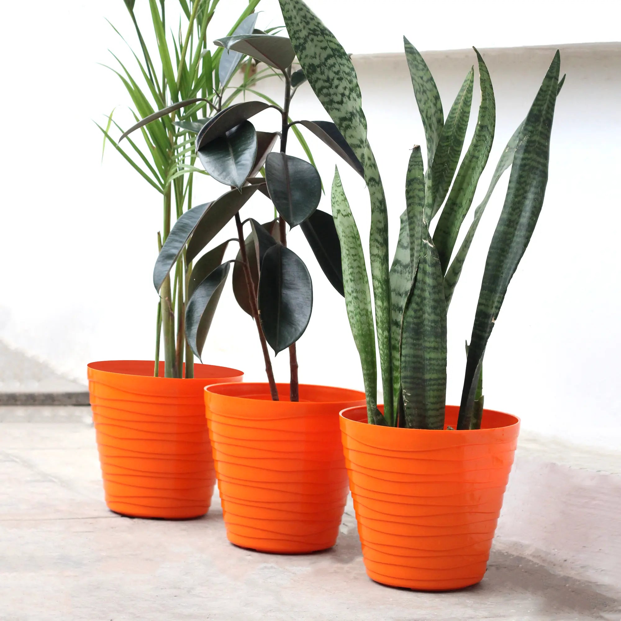 Plastic Matrix Pots Set of 3 Plastic Pot Urban Plant Orange 
