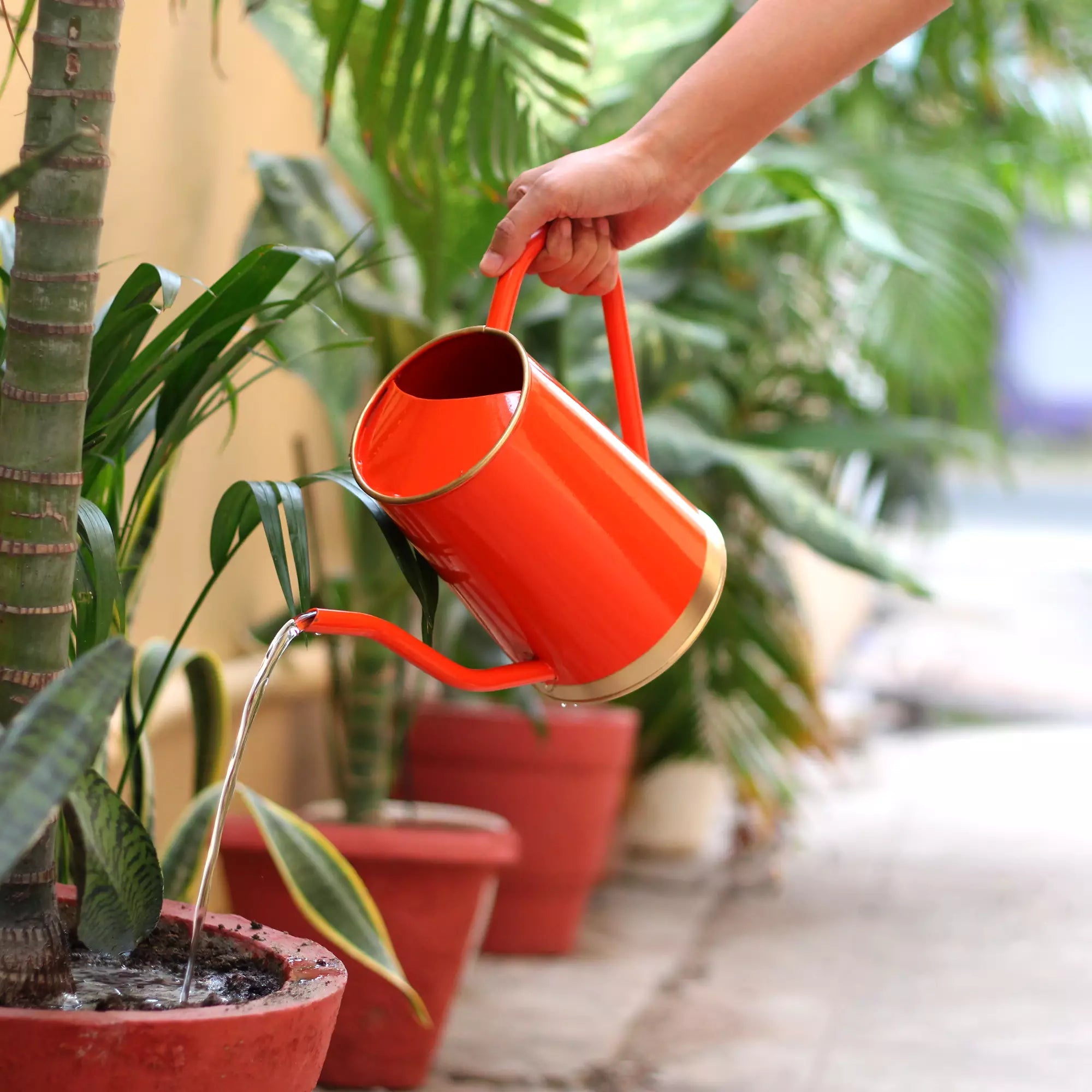 Urban Plant Metal Watering Can for Indoor & Outdoor Use | Best for Home Gardening | Terrace Garden Accessories | Watering Can with Long Spout - 1.5ltr Gardening Accessories Urban Plant 