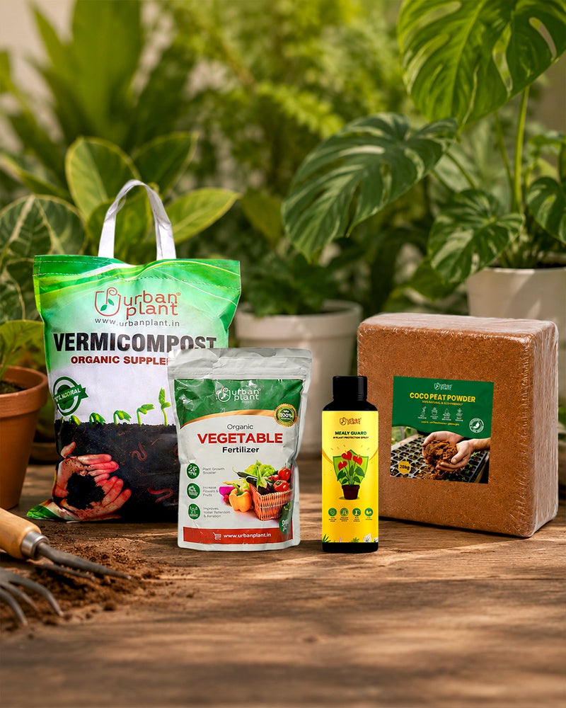Plant Care