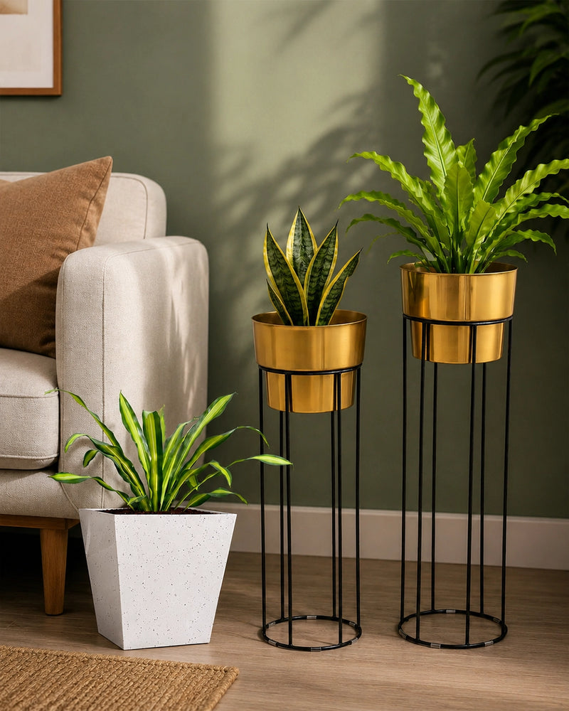 Pots & Planters
