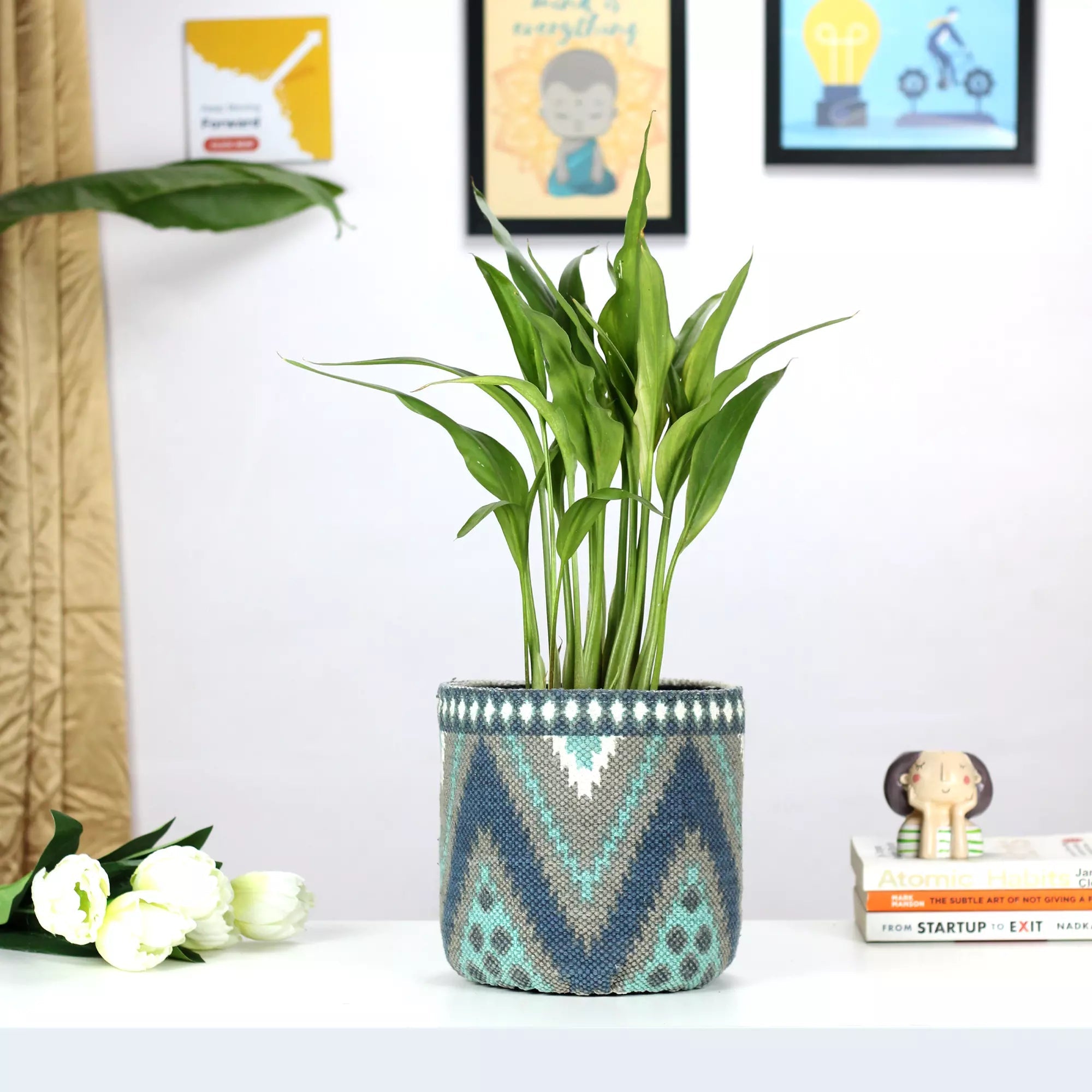 Diamond Patterned Cotton Planter, Dual-color cotton planter - Pack of 1 Cotton Planter Urban Plant 