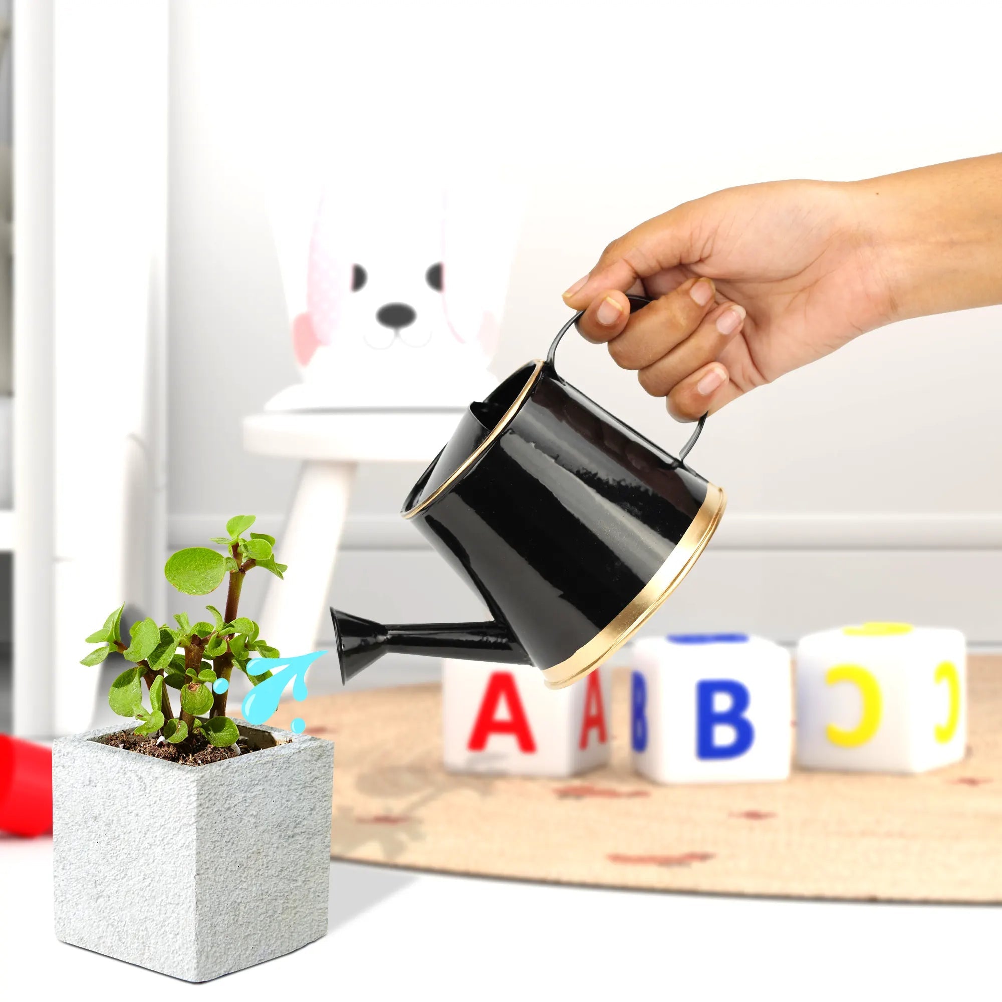Small Watering Can for Kids | For Indoor and Outdoor Plants (250 ML) Home & Garden Urban Plant Black 
