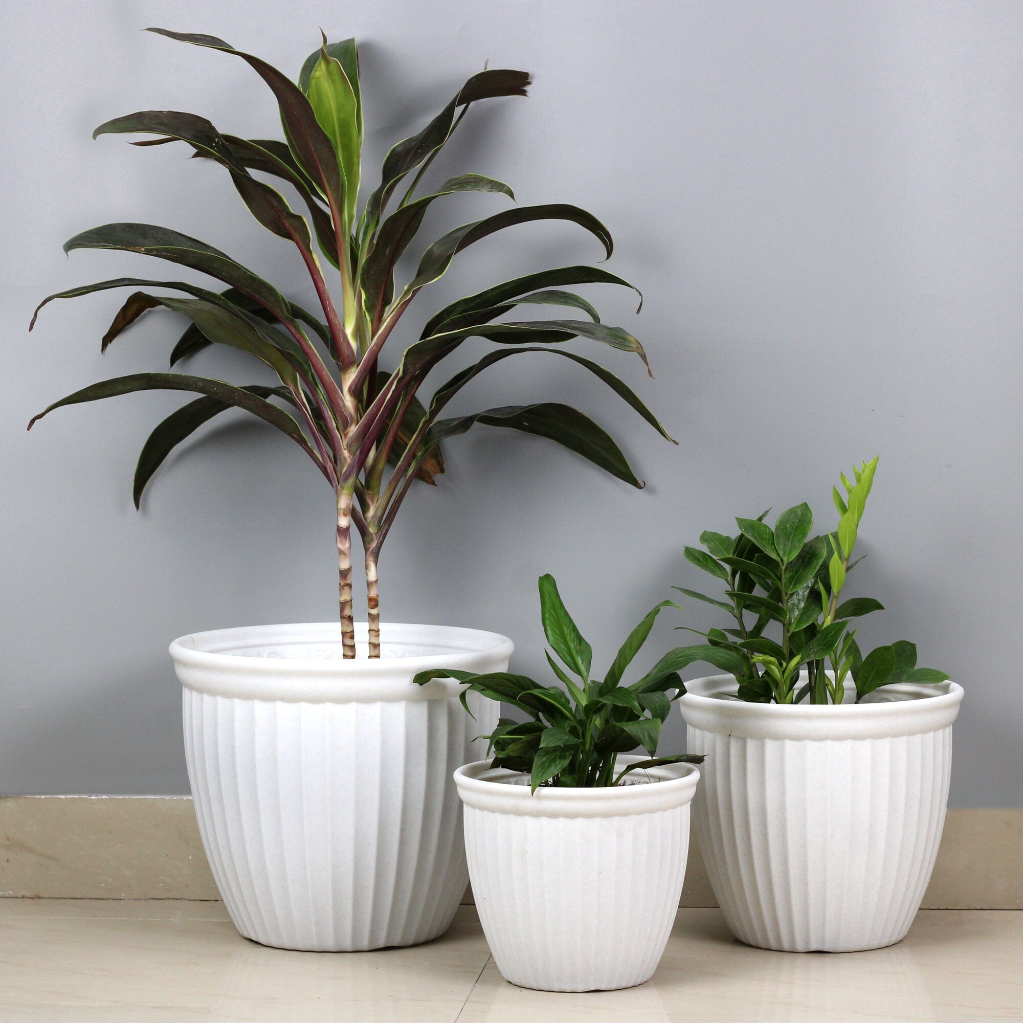 Urban Plant Lotus Planters (Set of 3) Urban Plant White 