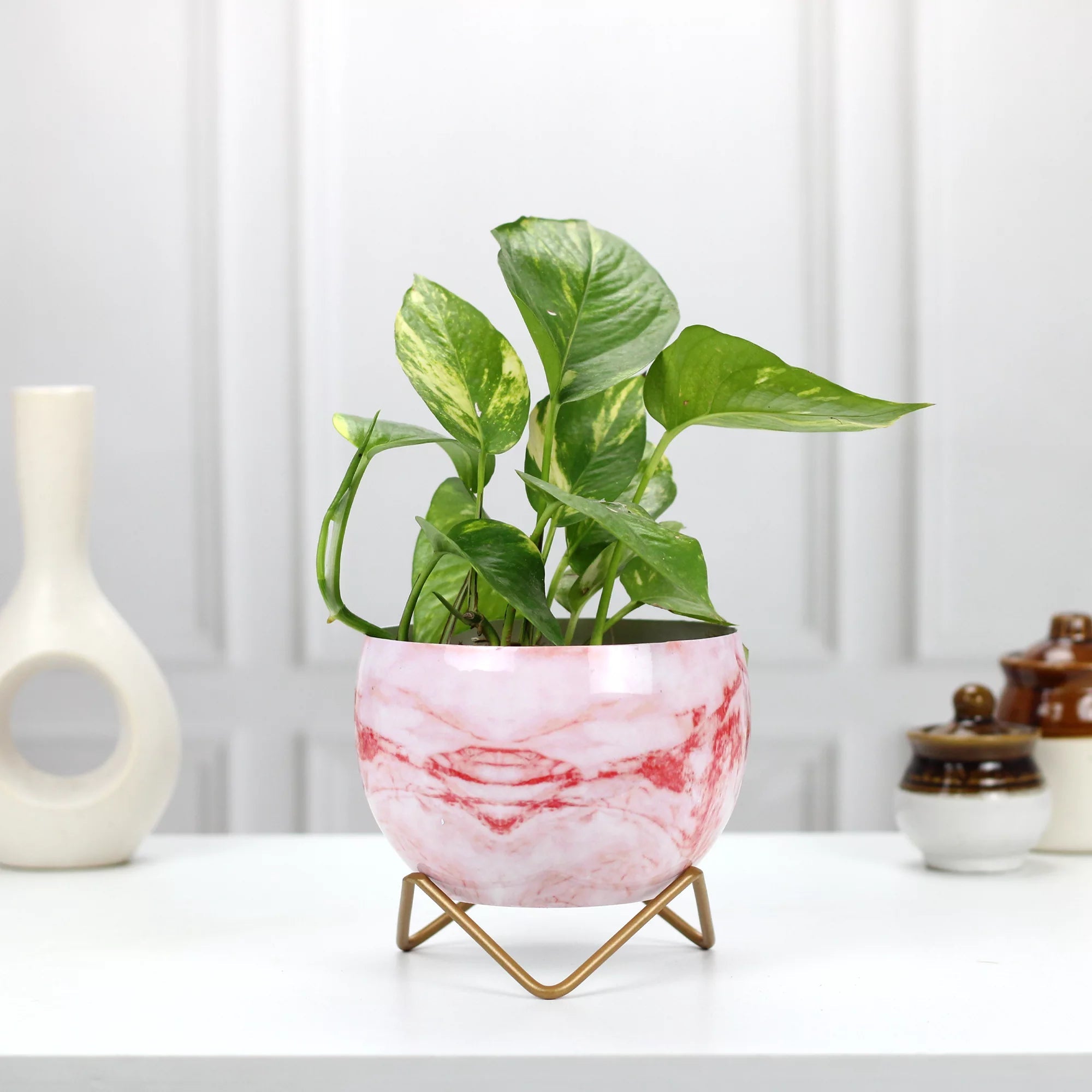Planters for Tabletop (5 Inch) (Multicolor) Metal Planter Urban Plant Pink Marble 