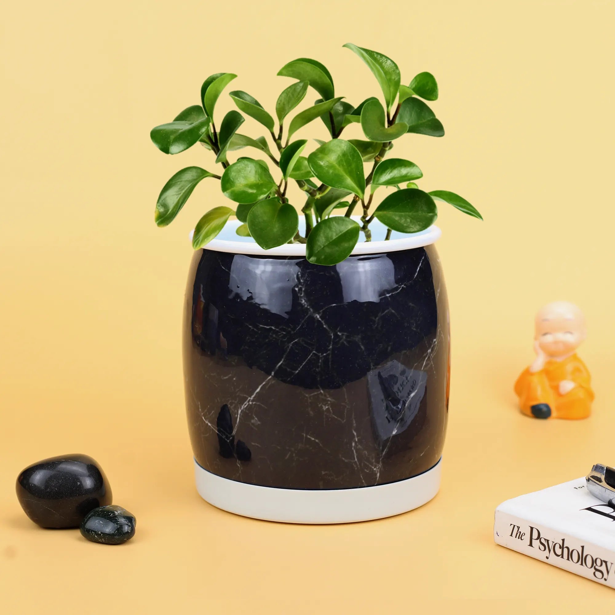 Unique Metal Planter Pot with Saucer Plate (No. 1266) Metal Planter Urban Plant Black Marble 