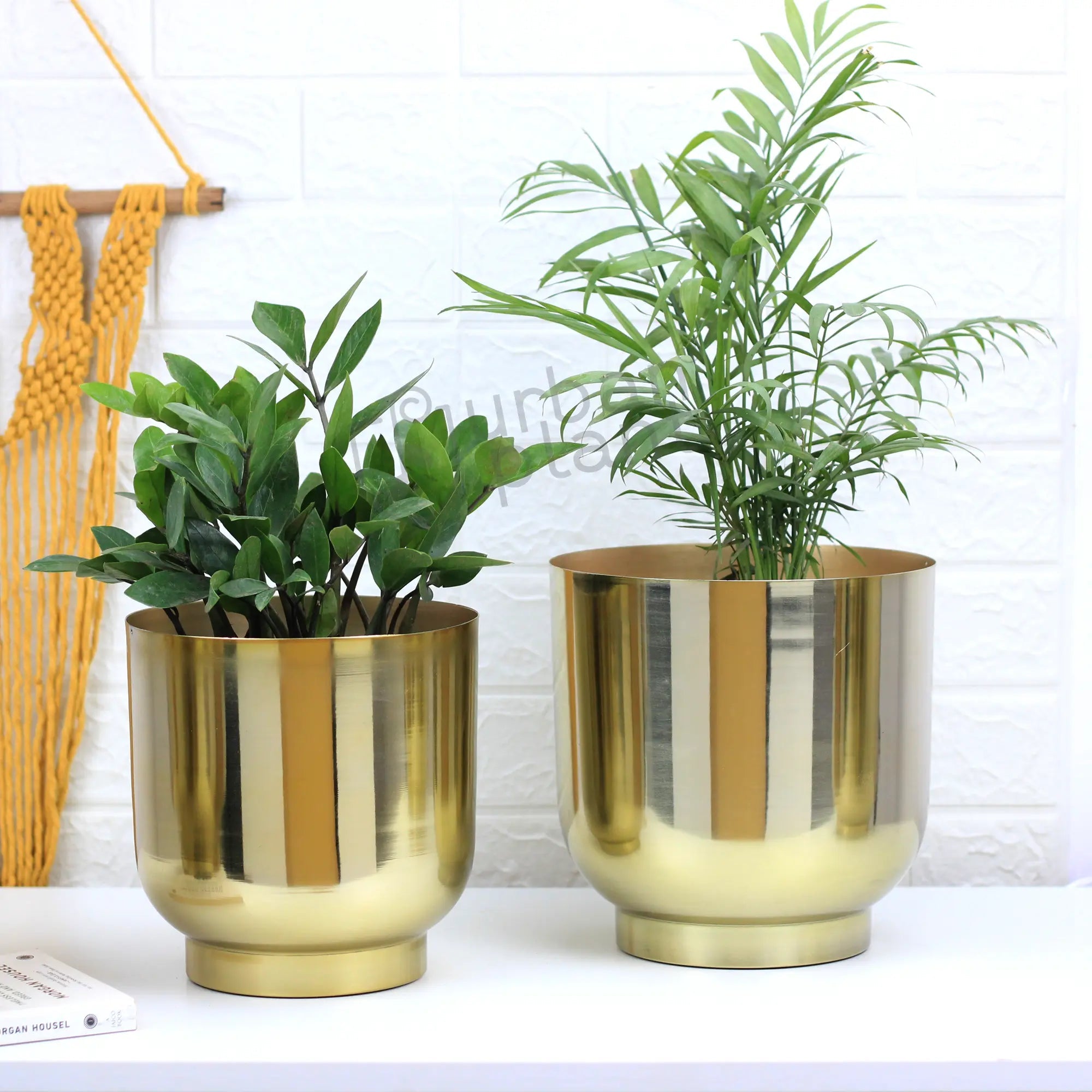 Orchid Metal Planter Pot Container (Set of 2) Table Top Planter Urban Plant Table Top Planter Urban Plant Gold 