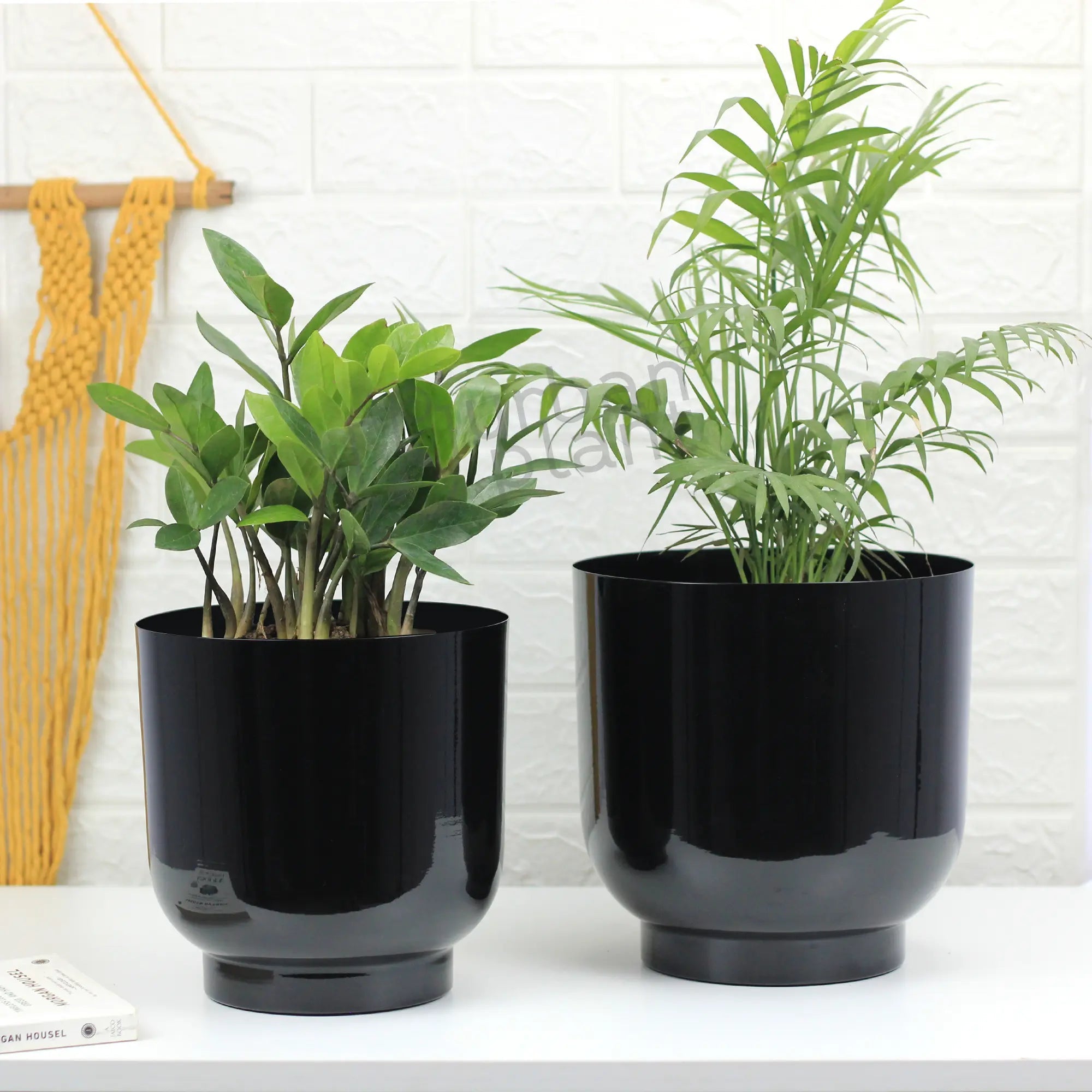 Orchid Metal Planter Pot Container (Set of 2) Table Top Planter Urban Plant Table Top Planter Urban Plant Black 