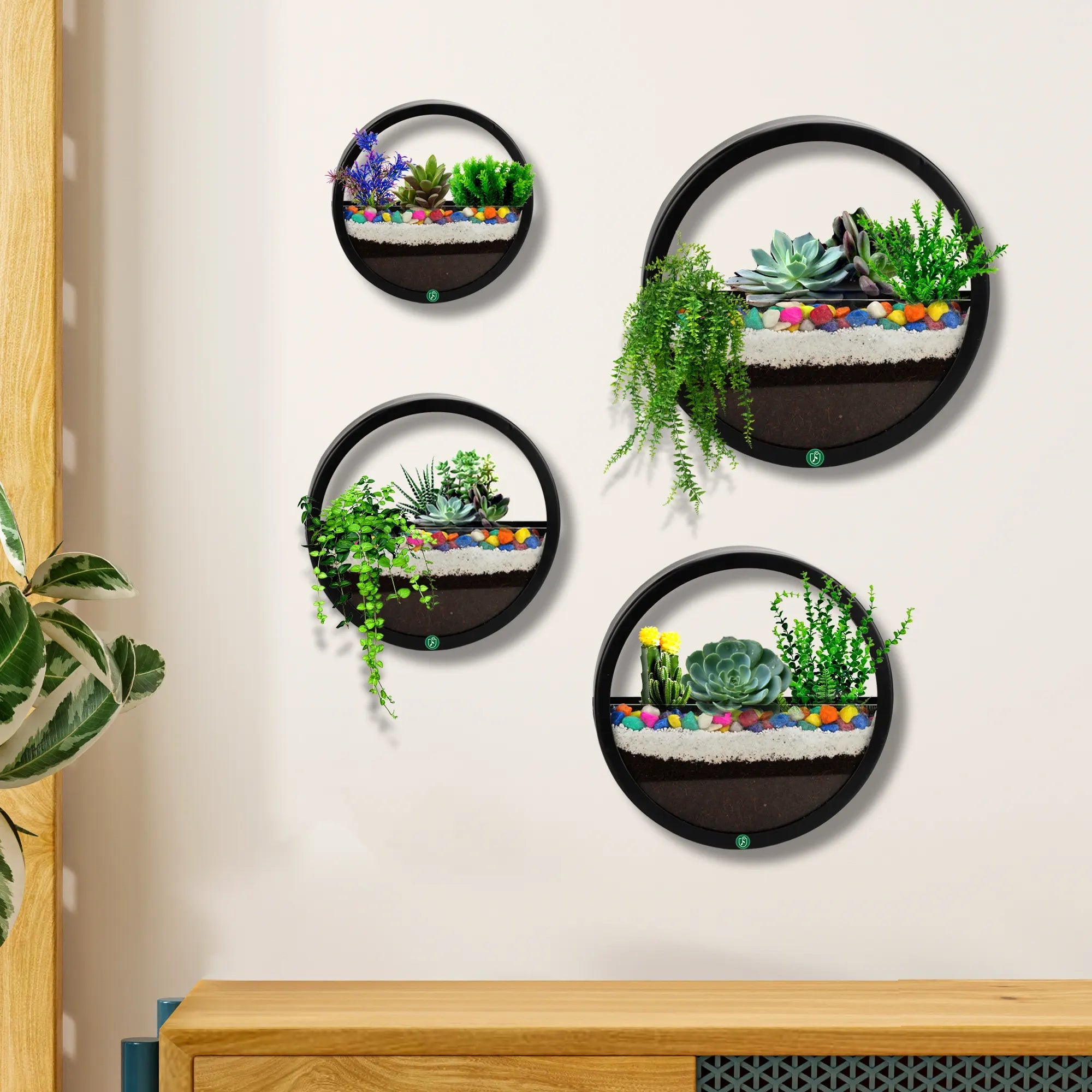 Wall mounted plant holders deals