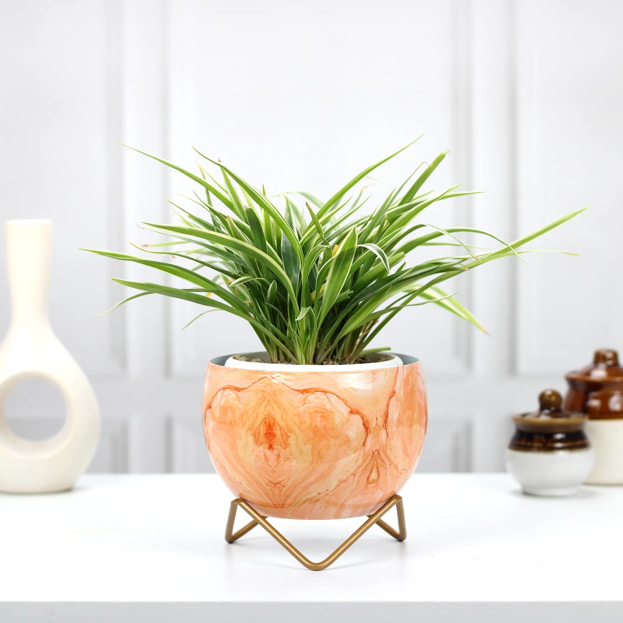 Planters for Tabletop (5 Inch) (Multicolor) Metal Planter Urban Plant Orange Marble 