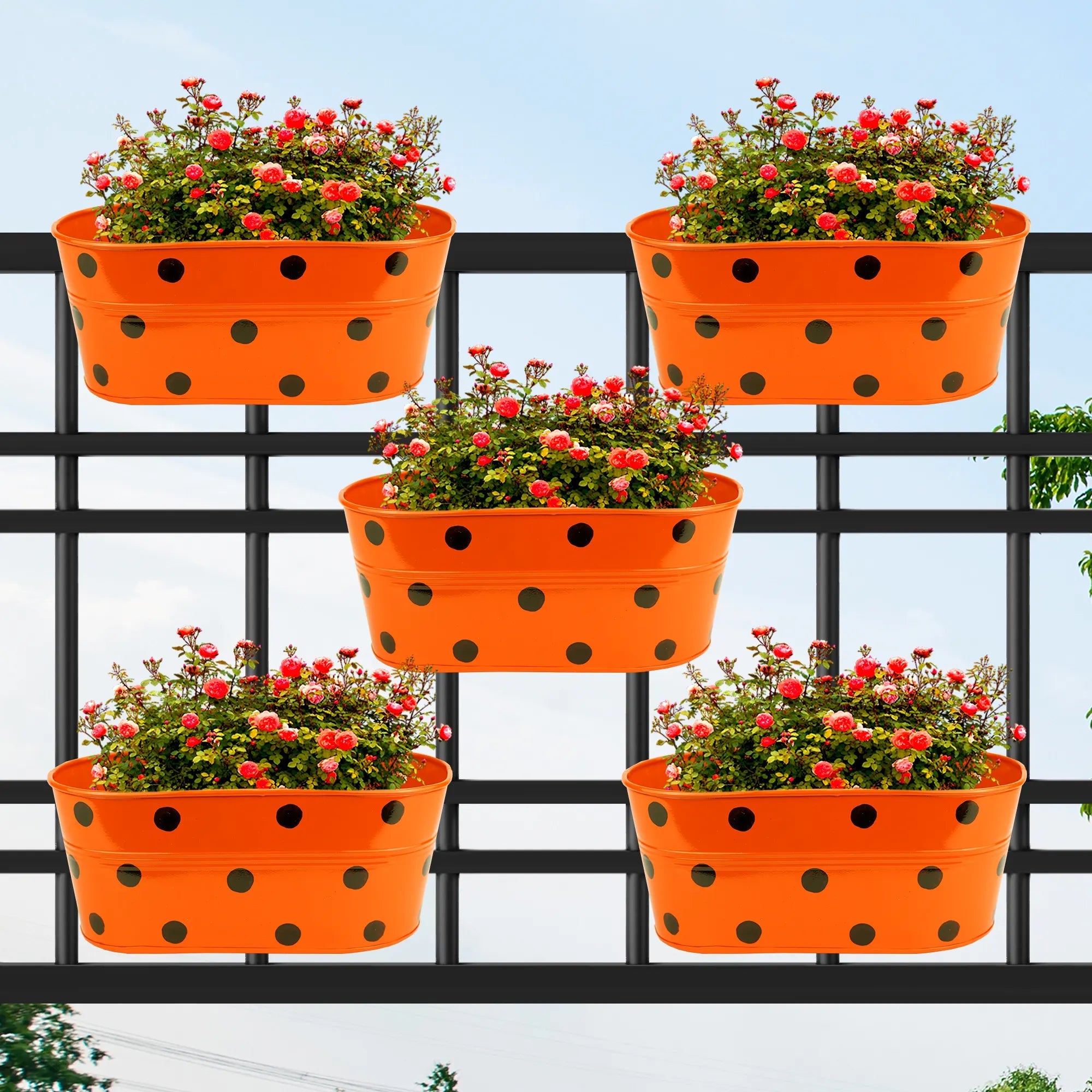 Hanging Planter Dot Oval Shaped 12 Inch (Green, Red, Blue and Yellow) (Set of 5) Oval Balcony Hanging Pot Urban Plant Orange 