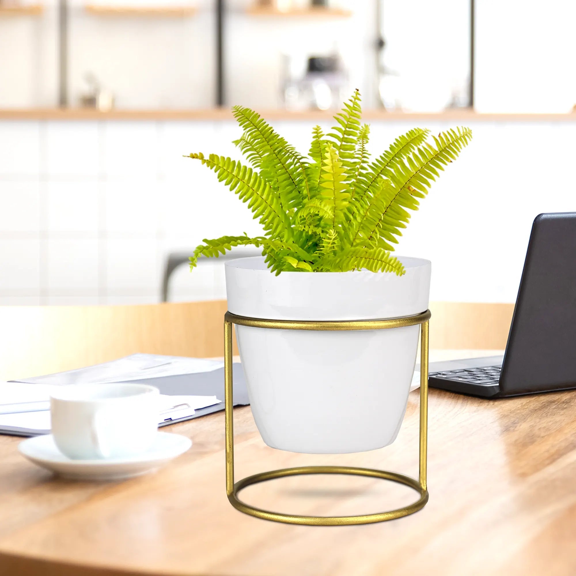 Classy Decorative Round Shape Black & White Metal Planter with Stand Metal Planter Urban Plant White 