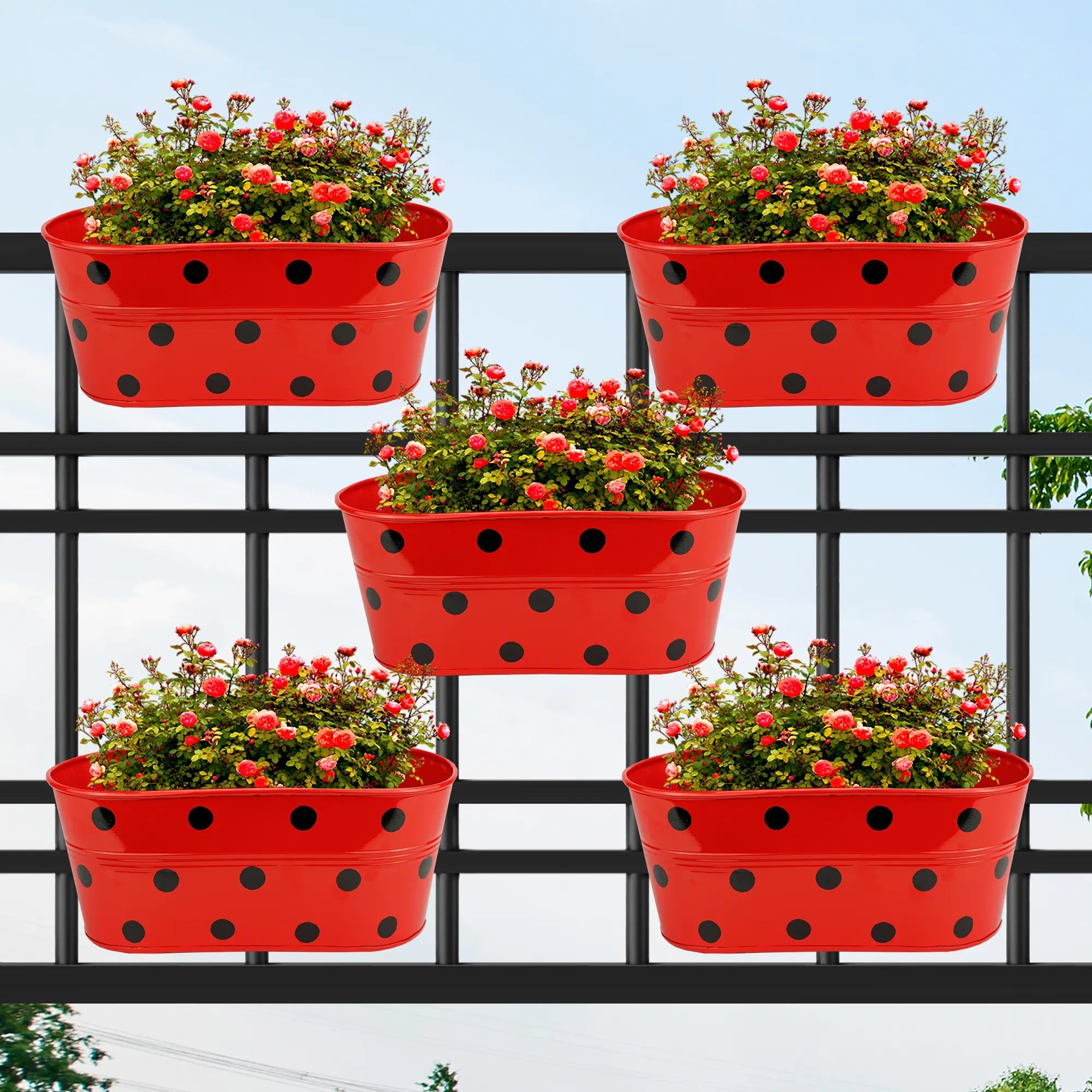 Hanging Planter Dot Oval Shaped 12 Inch (Green, Red, Blue and Yellow) (Set of 5) Oval Balcony Hanging Pot Urban Plant Red 