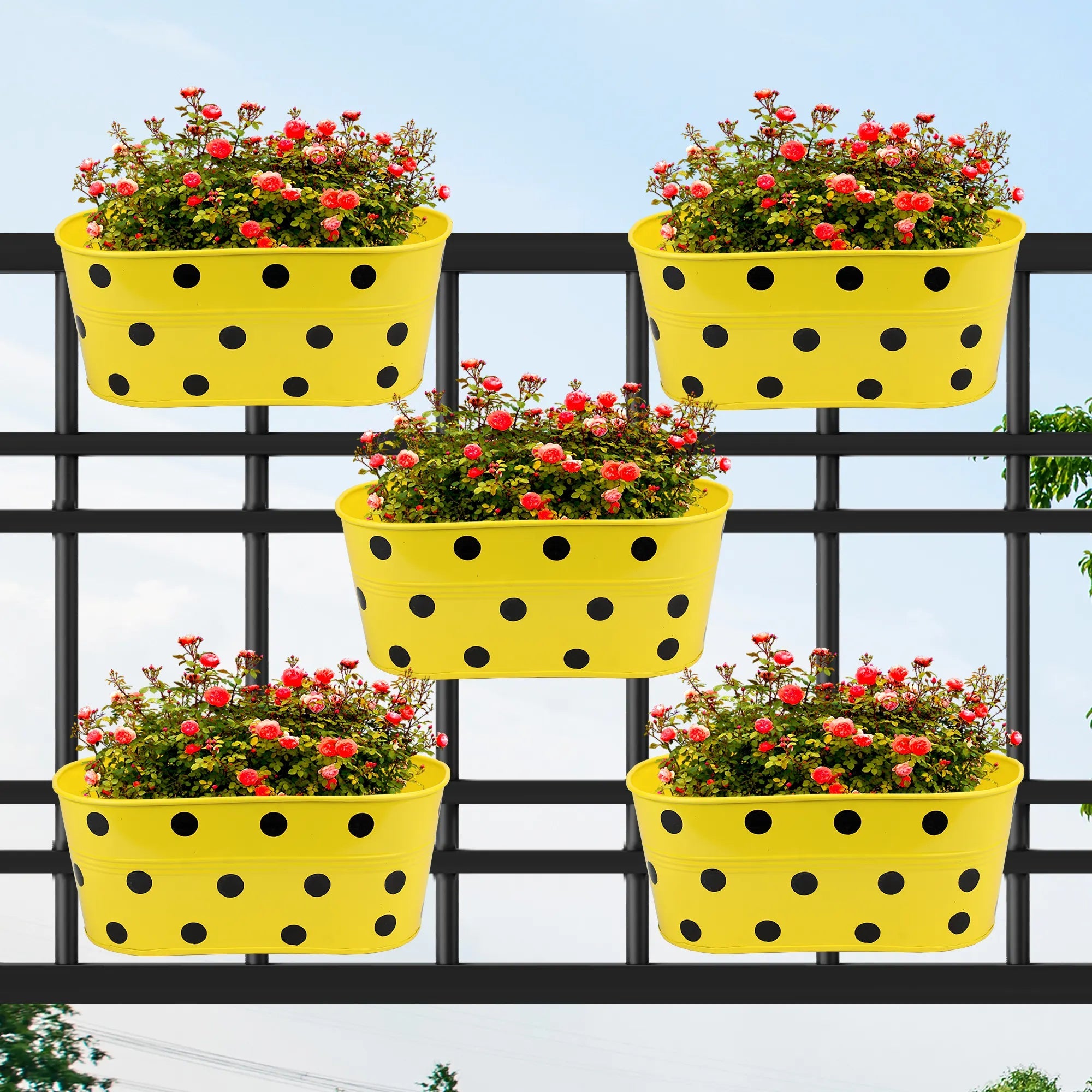Hanging Planter Dot Oval Shaped 12 Inch (Green, Red, Blue and Yellow) (Set of 5) Oval Balcony Hanging Pot Urban Plant Yellow 