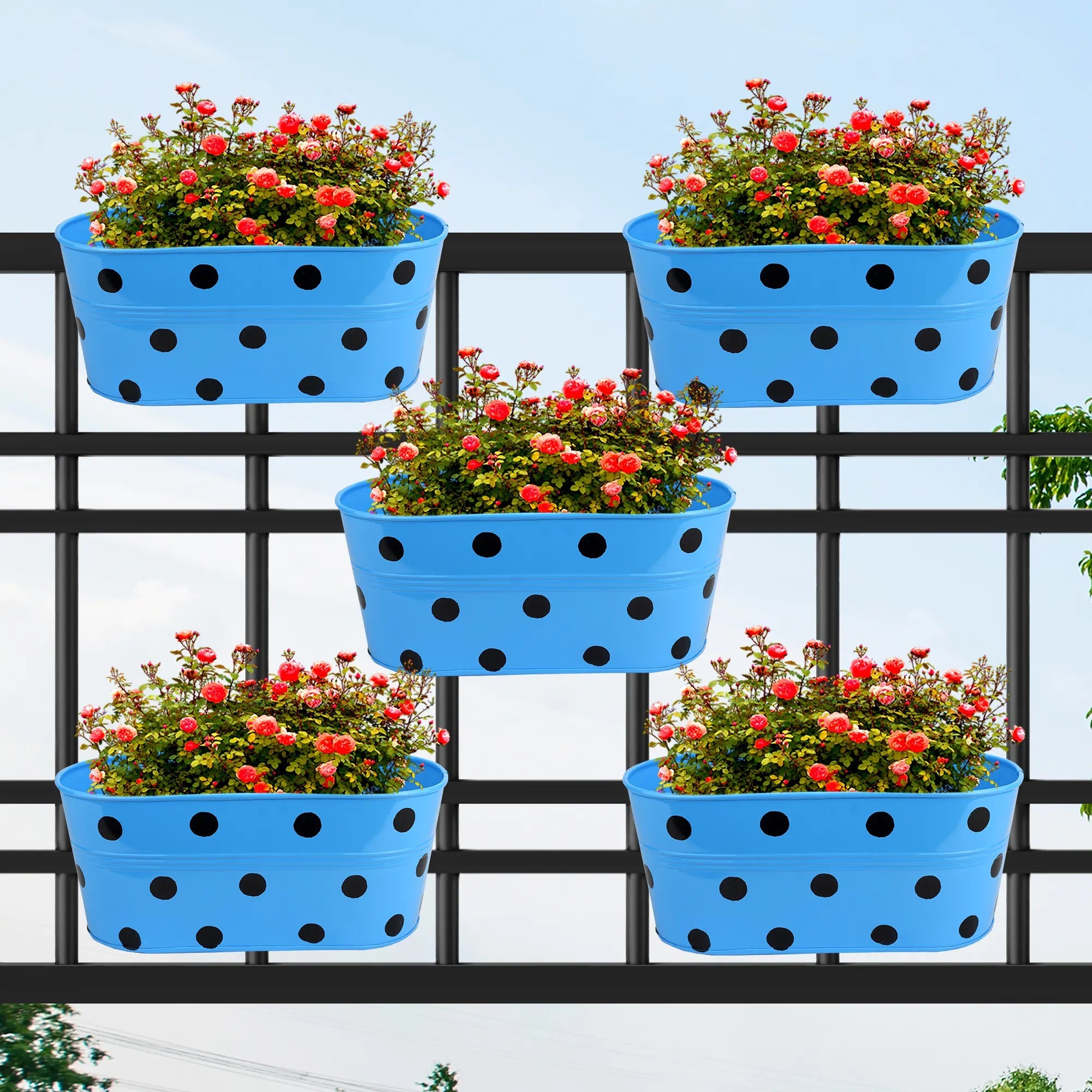 Hanging Planter Dot Oval Shaped 12 Inch (Green, Red, Blue and Yellow) (Set of 5) Oval Balcony Hanging Pot Urban Plant Blue 