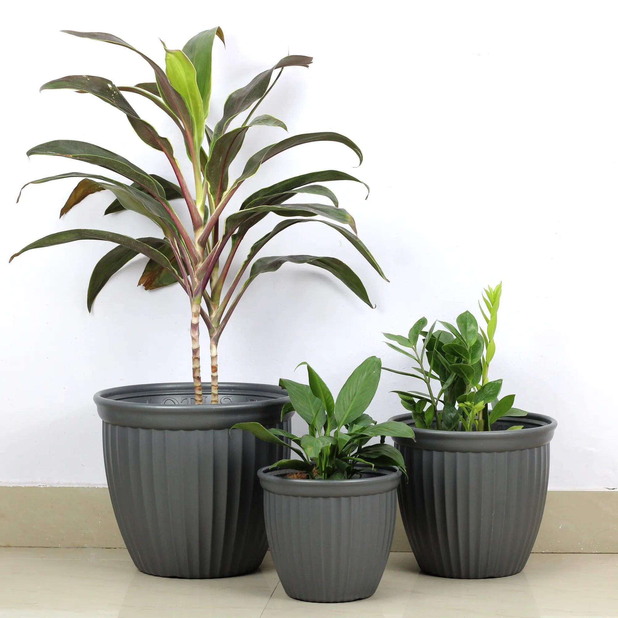 Urban Plant Lotus Planters (Set of 3) Urban Plant Gray 