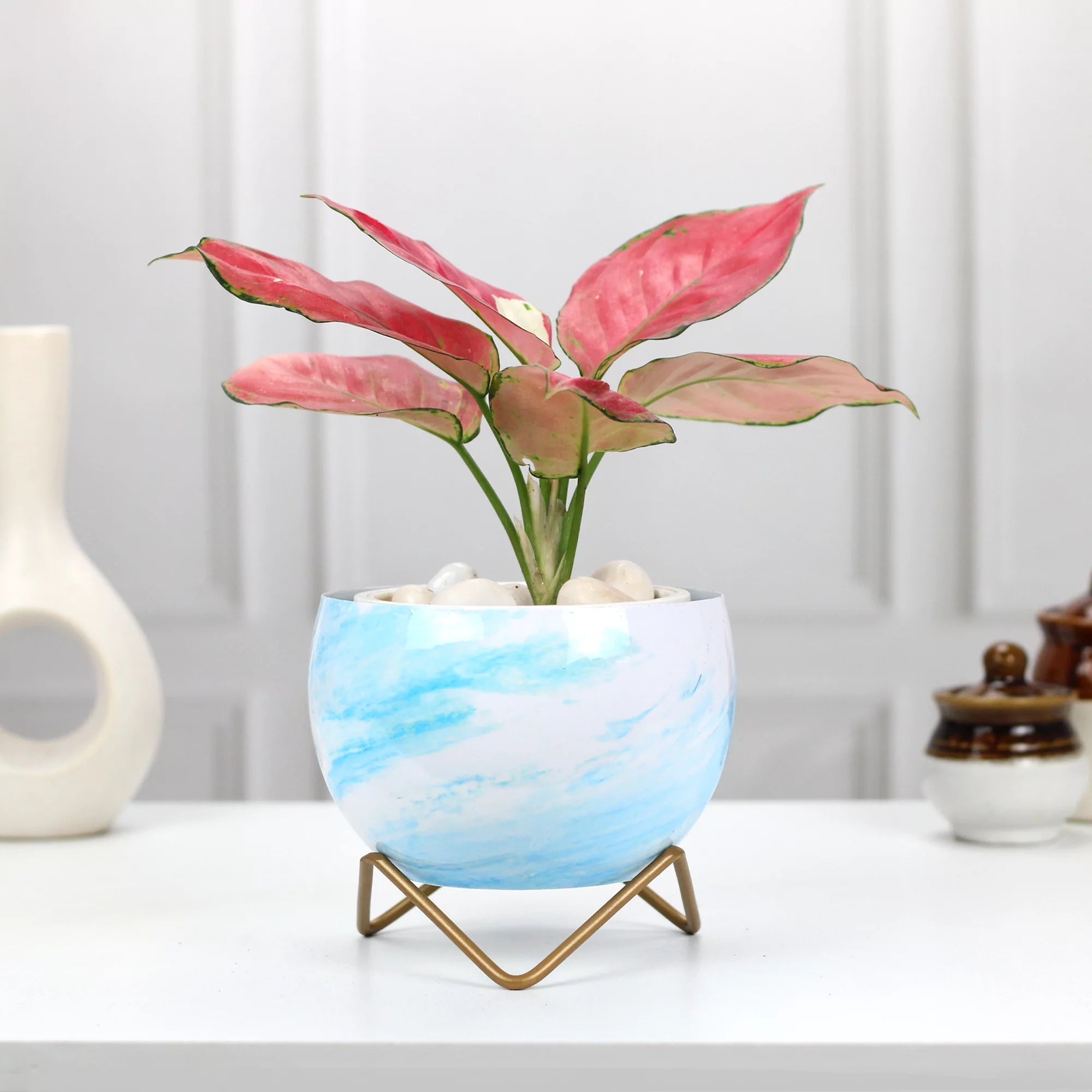 Planters for Tabletop (5 Inch) (Multicolor) Metal Planter Urban Plant Blue Marble 