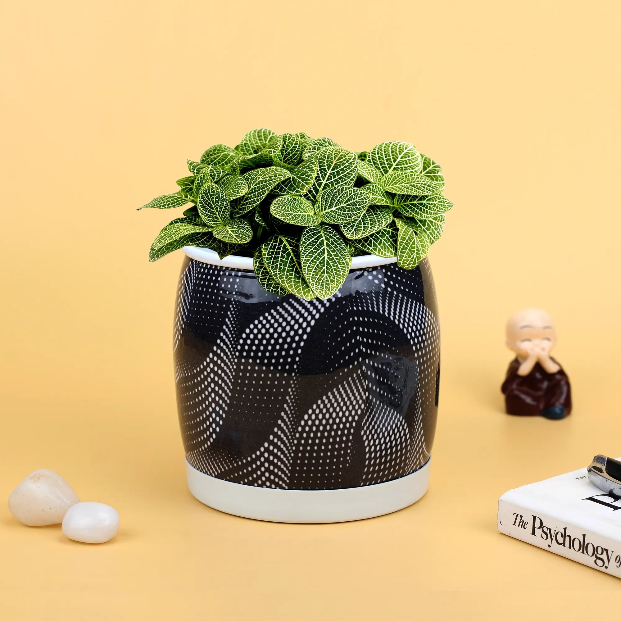 Unique Metal Planter Pot with Saucer Plate (No. 1266) Metal Planter Urban Plant Polka Dot 