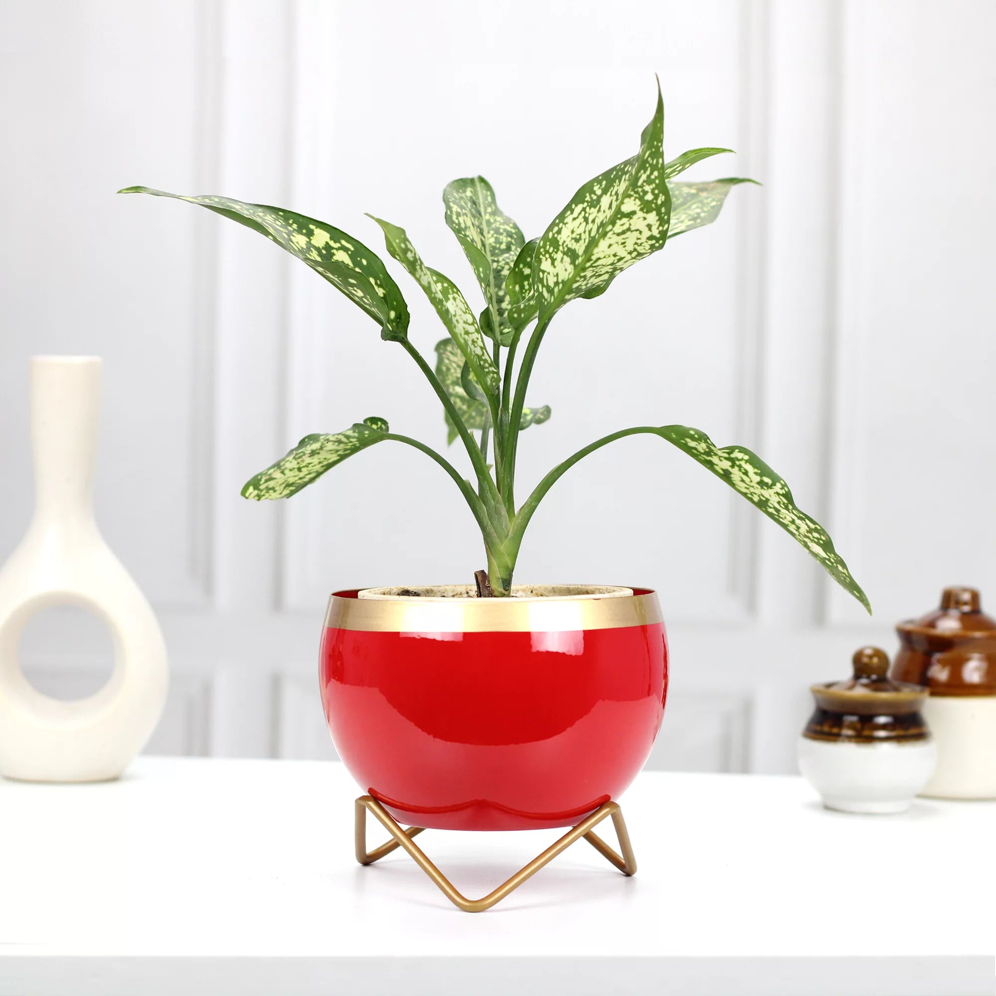 Planters for Tabletop (5 Inch) (Multicolor) Metal Planter Urban Plant Red Gold 