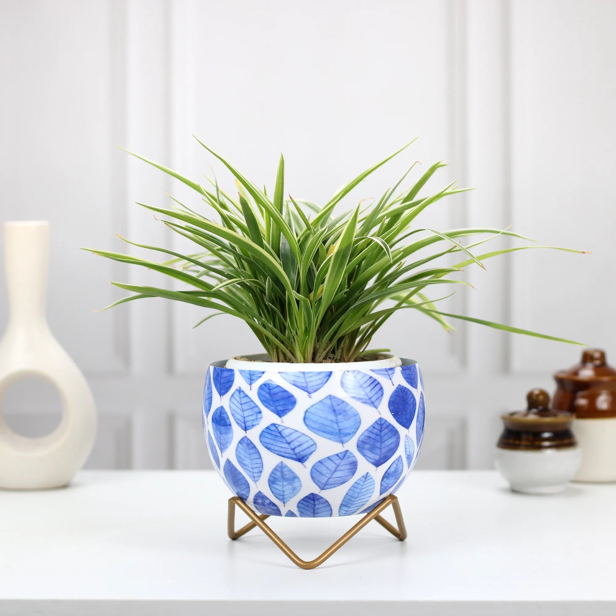 Planters for Tabletop (5 Inch) (Multicolor) Metal Planter Urban Plant Leafy Blue 