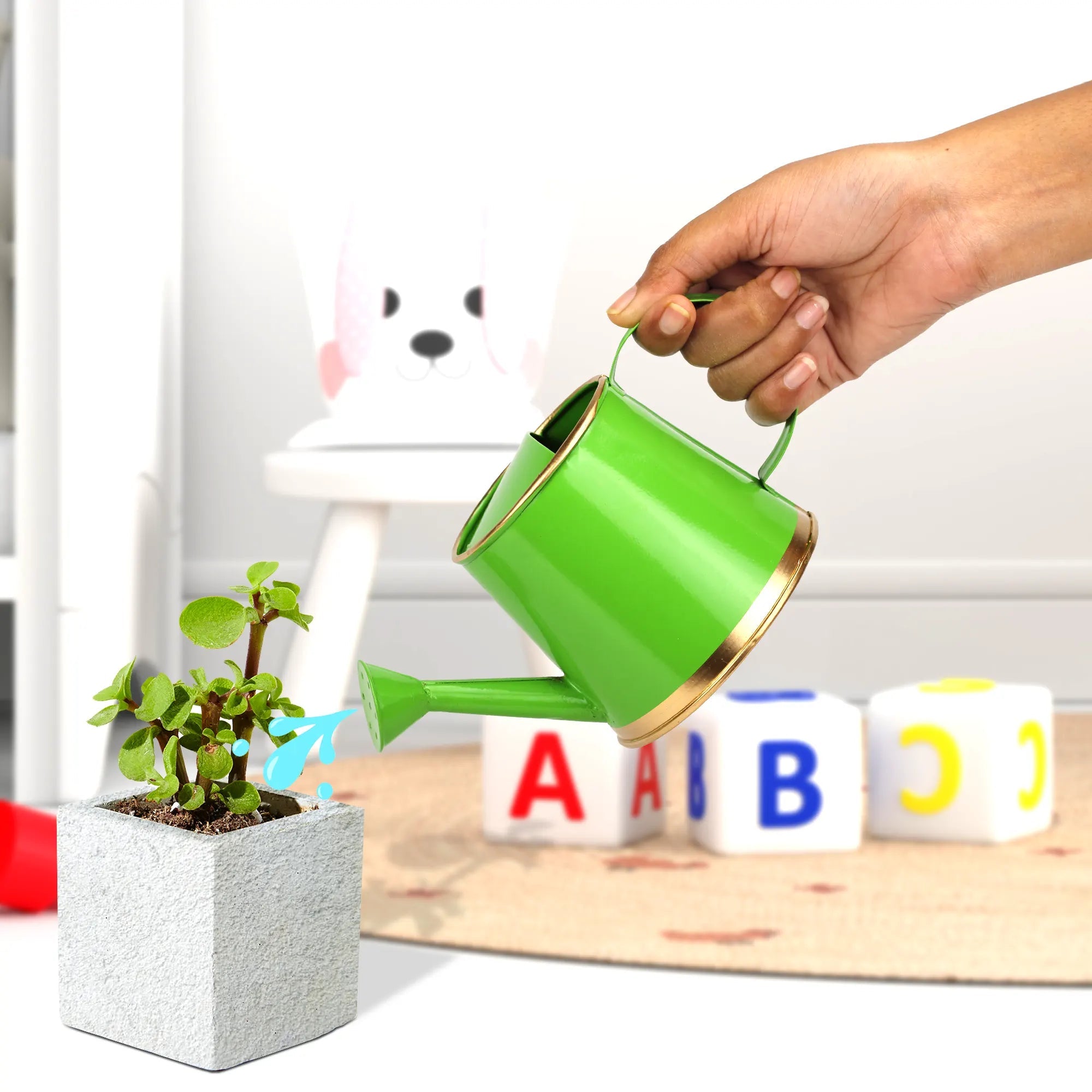 Small Watering Can for Kids | For Indoor and Outdoor Plants (250 ML) Home & Garden Urban Plant Green 