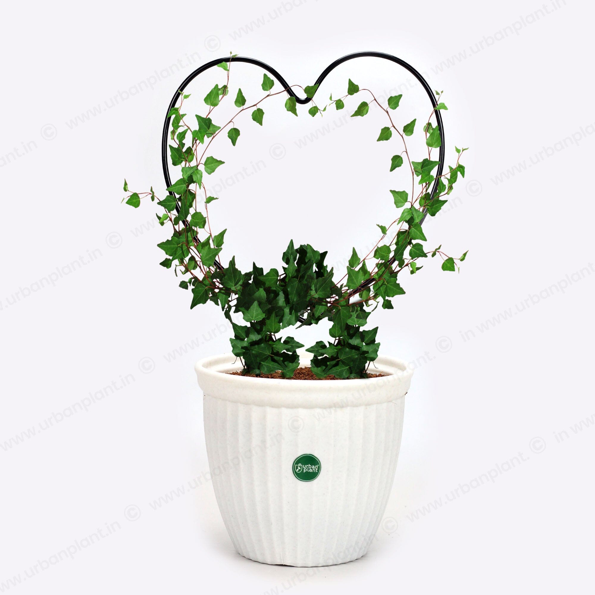 Urban Plant Heart Shaped Trellis for Plant Support and Decoration for Climbing Plants | Plants Climbing Holder Rack (Pack of 2) - 1402 Gardening Accessories Urban Plant 