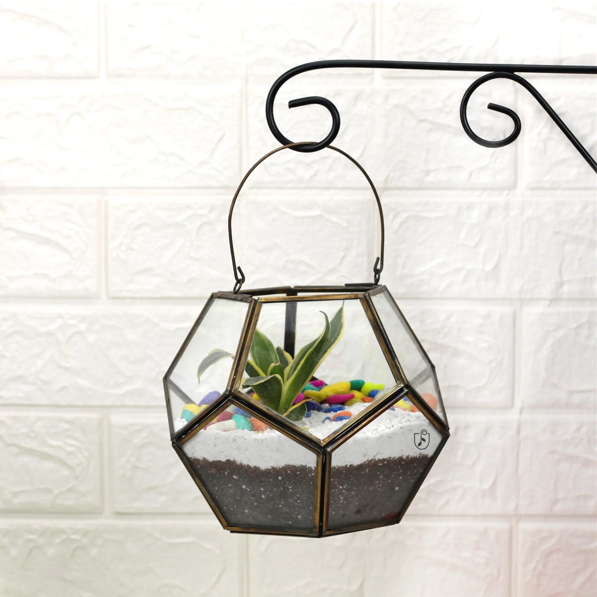 Elegant Decorative Geometric Table Top Glass Terrarium Glass Terrarium Urban Plant 