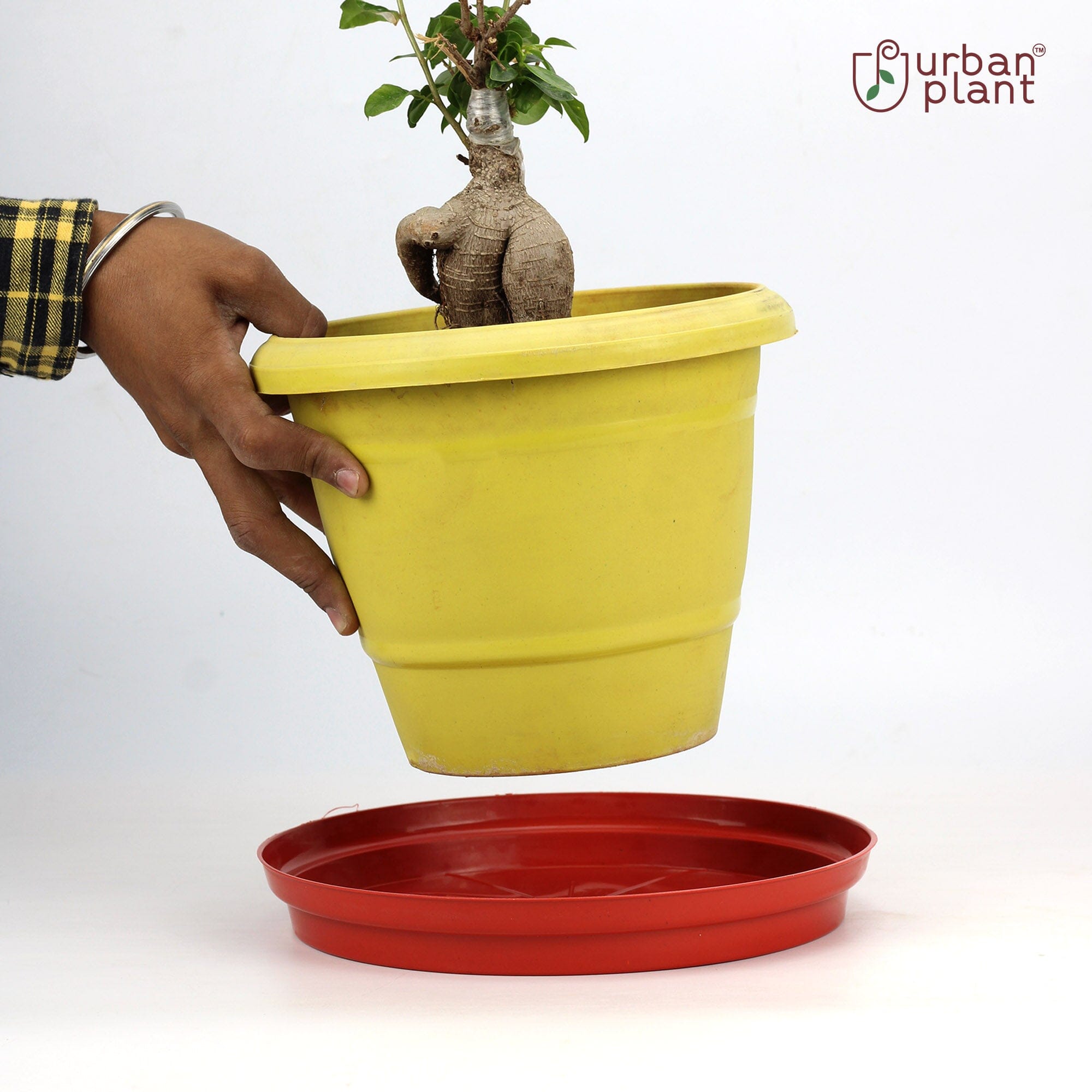 Urban Plant Round Bottom Tray (Plate/Saucer) for All Type of Pots Urban Plant 