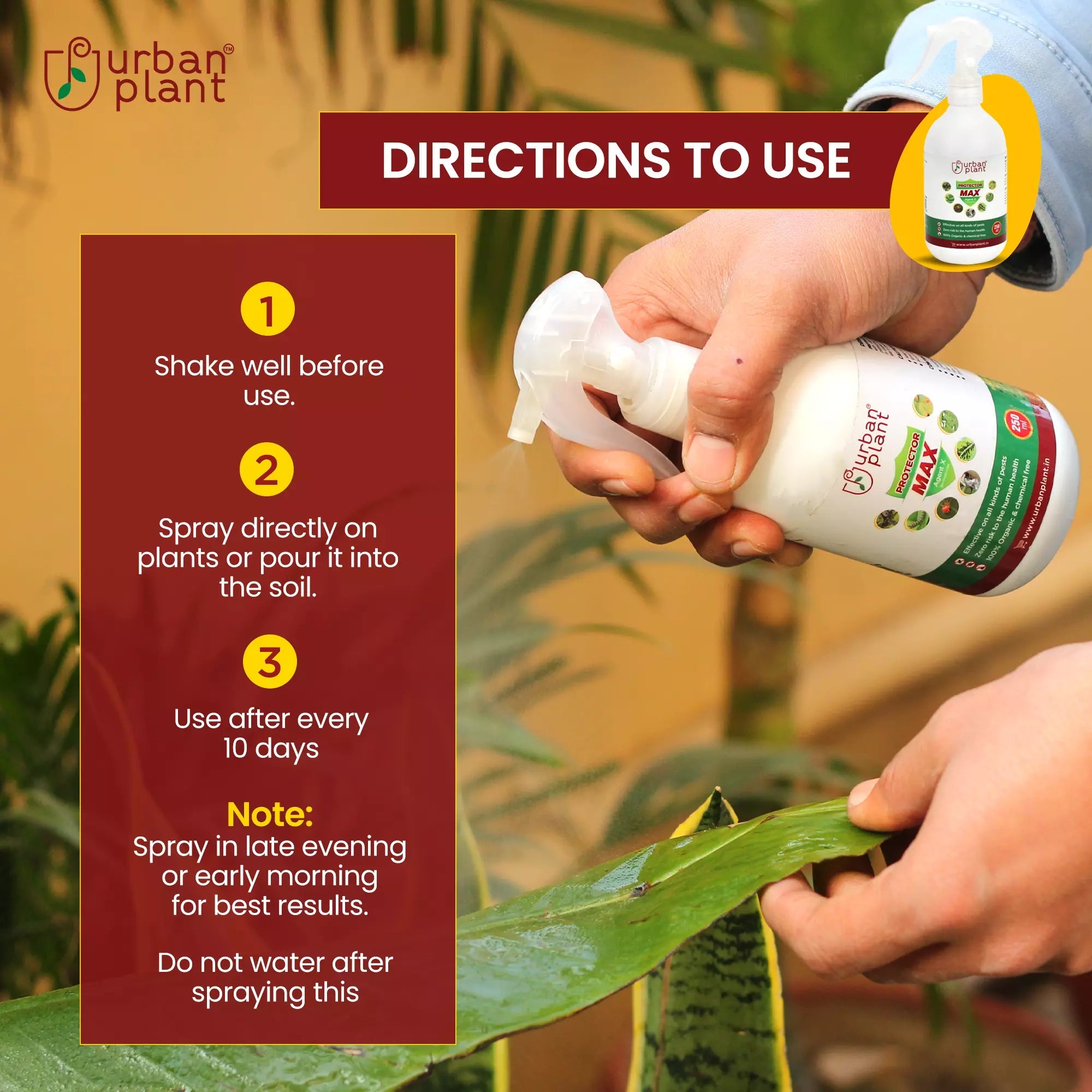 Protector MAX Pest Control for Vegetables, Fruits and Greenie Plant Diet Urban Plant 