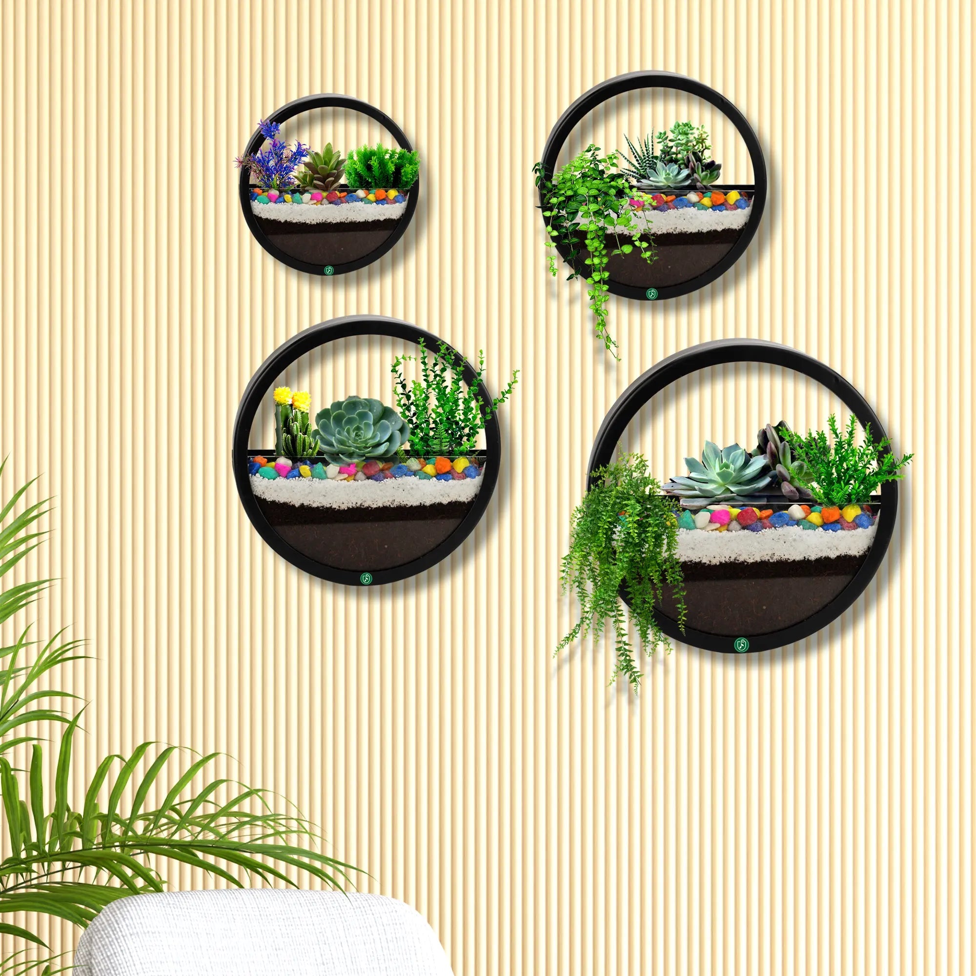 Hanging Round Wall Planters - Terrariums Set of 4 - Wall Mounted Plant Holder for Indoor & Outdoor Wall Hanging Planter Urban Plant 