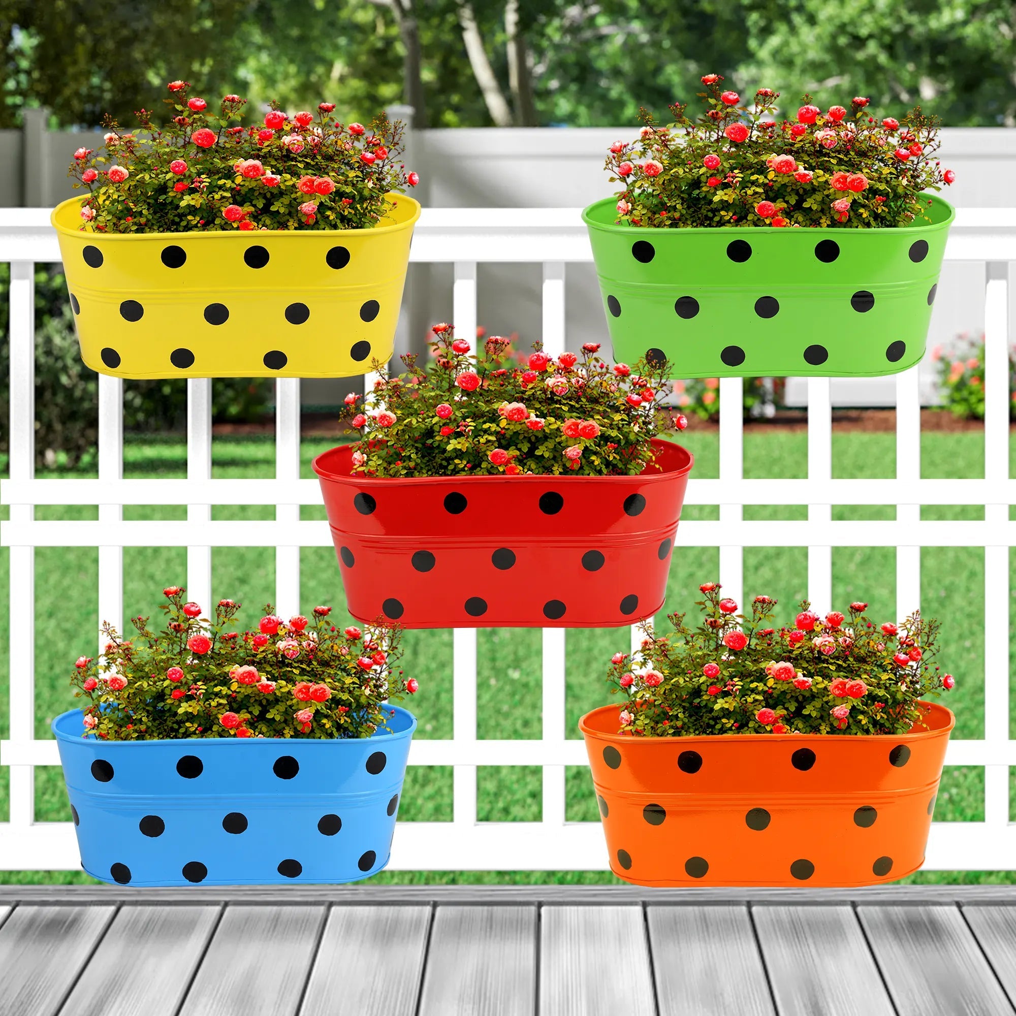 Hanging Planter Dot Oval Shaped 12 Inch (Green, Red, Blue and Yellow) (Set of 5) Oval Balcony Hanging Pot Urban Plant 