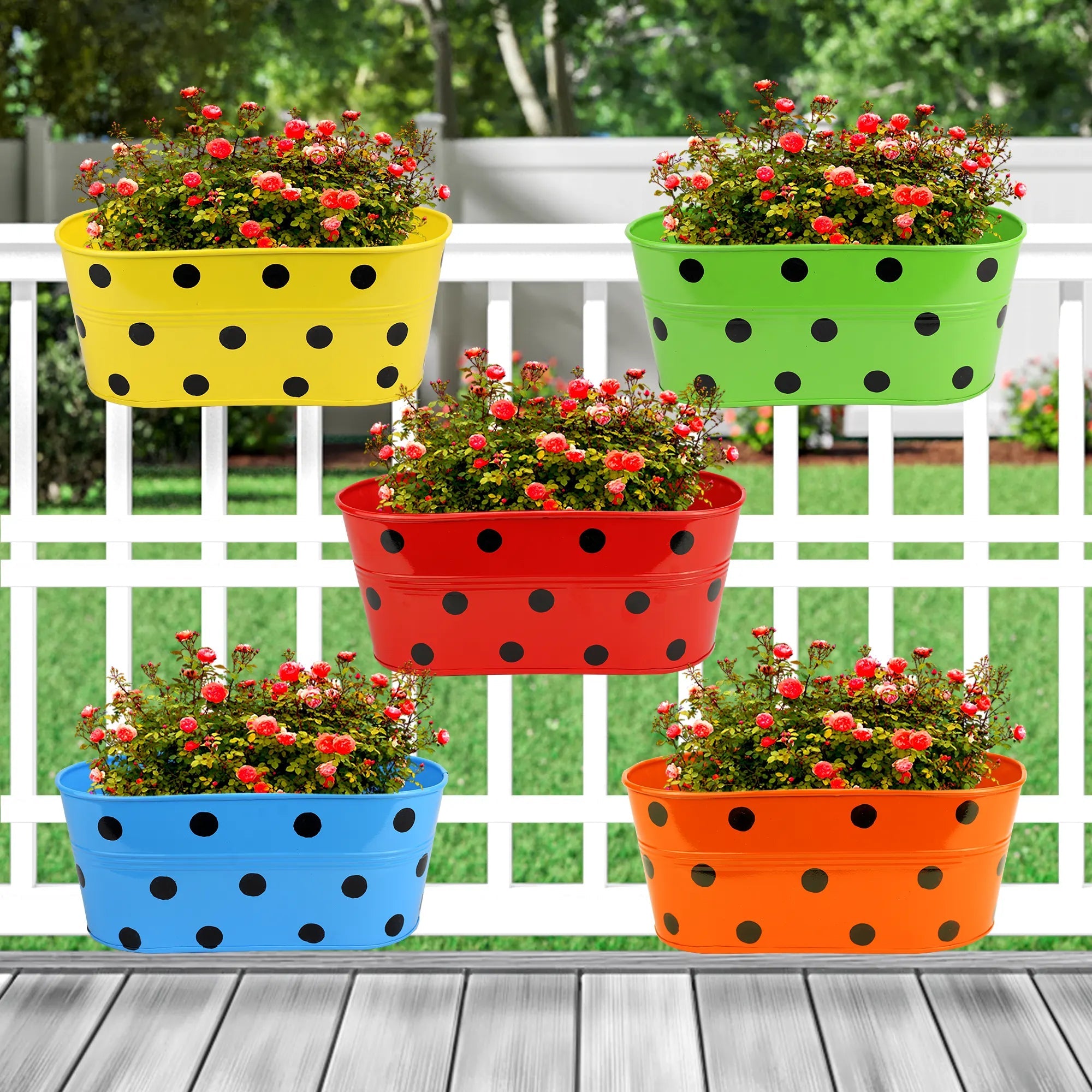 Hanging Planter Dot Oval Shaped 12 Inch (Green, Red, Blue and Yellow) (Set of 5) Oval Balcony Hanging Pot Urban Plant 