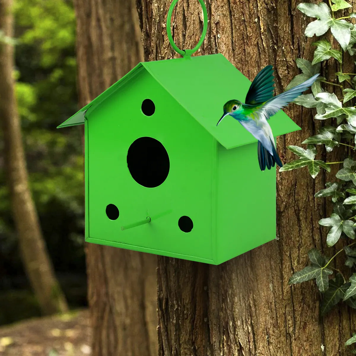 Colorful Metal Hanging Bird House Combo (Red & Green) Bird House Urban Plant 