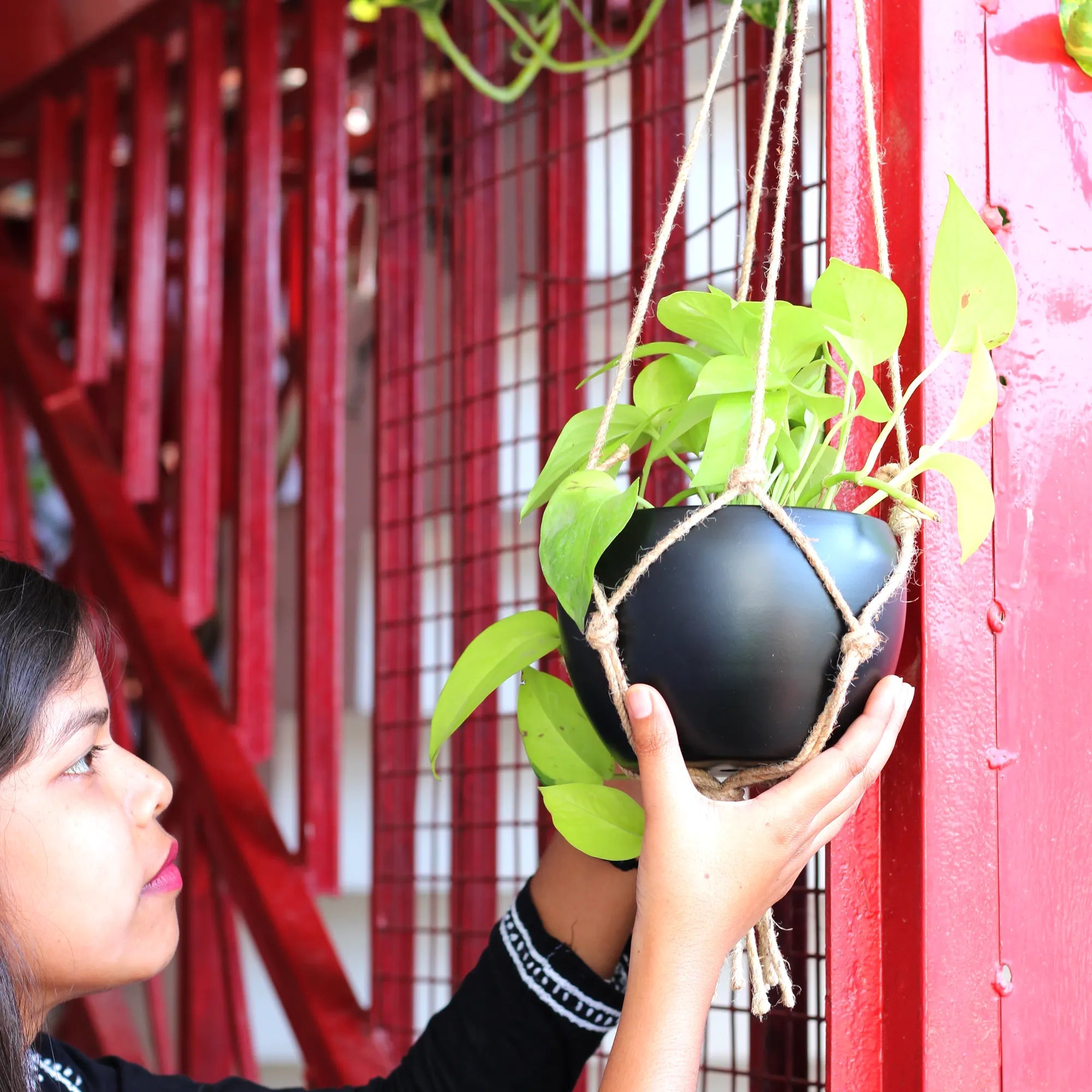 Decorative Hanging Round Planter with Natural Jute Rope Matte (Black) Metal Planter Urban Plant 