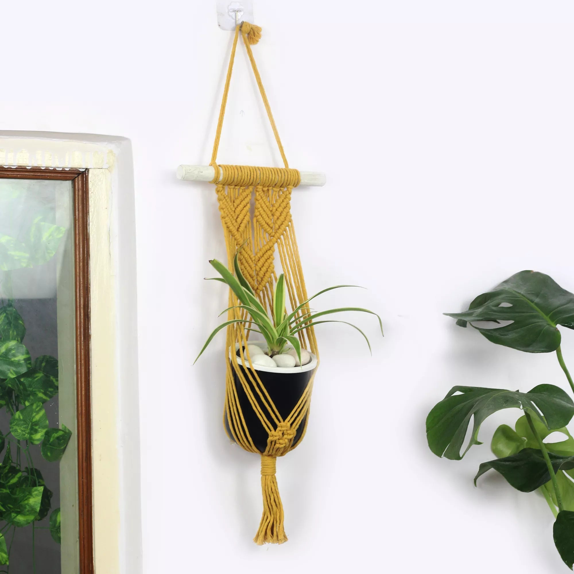 Mustard Bliss Macrame Plant Hanger Hanging Planter Urban Plant 