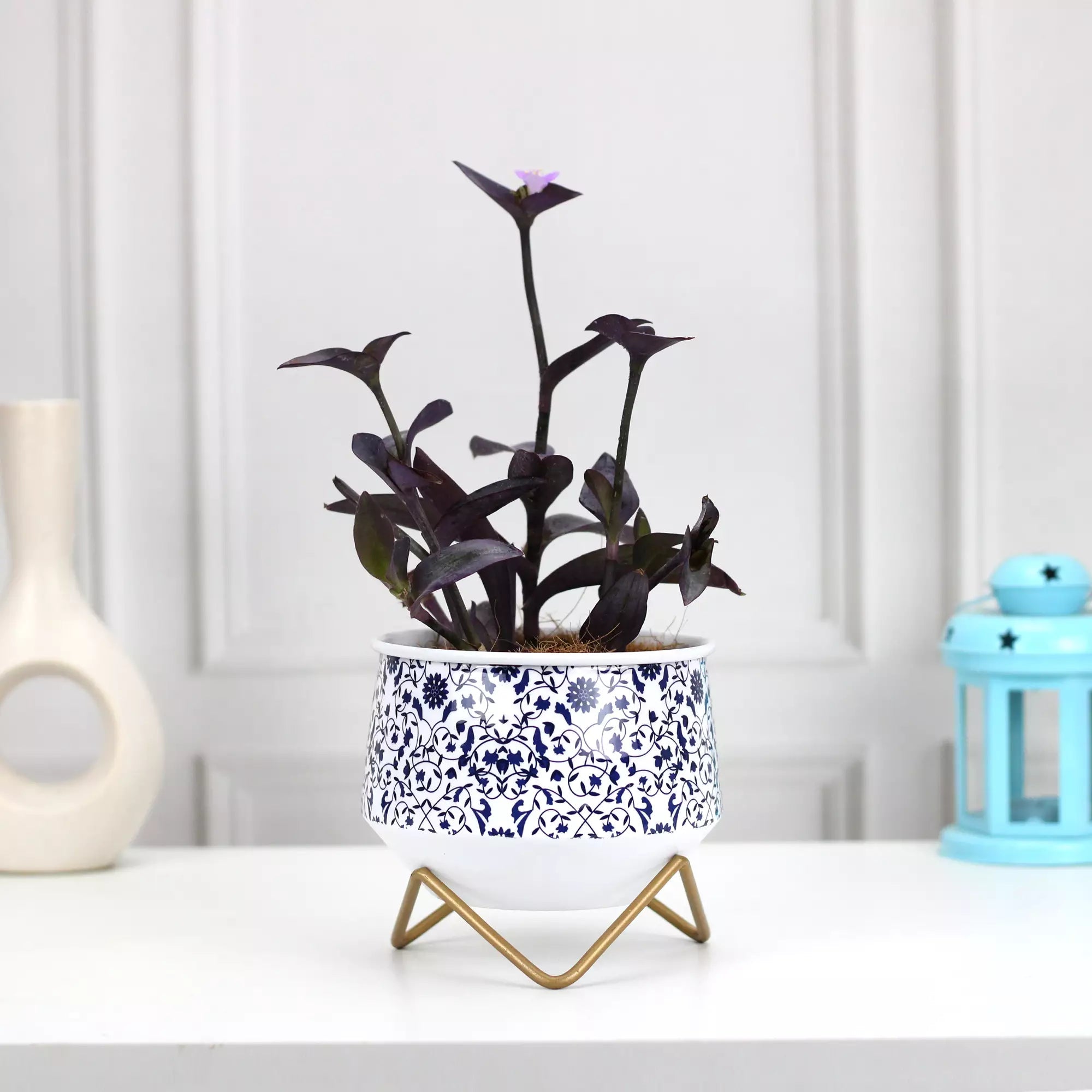 Caramel Mini Metal Planter | Flower Vase Metal Planter Urban Plant Blue Pottery 