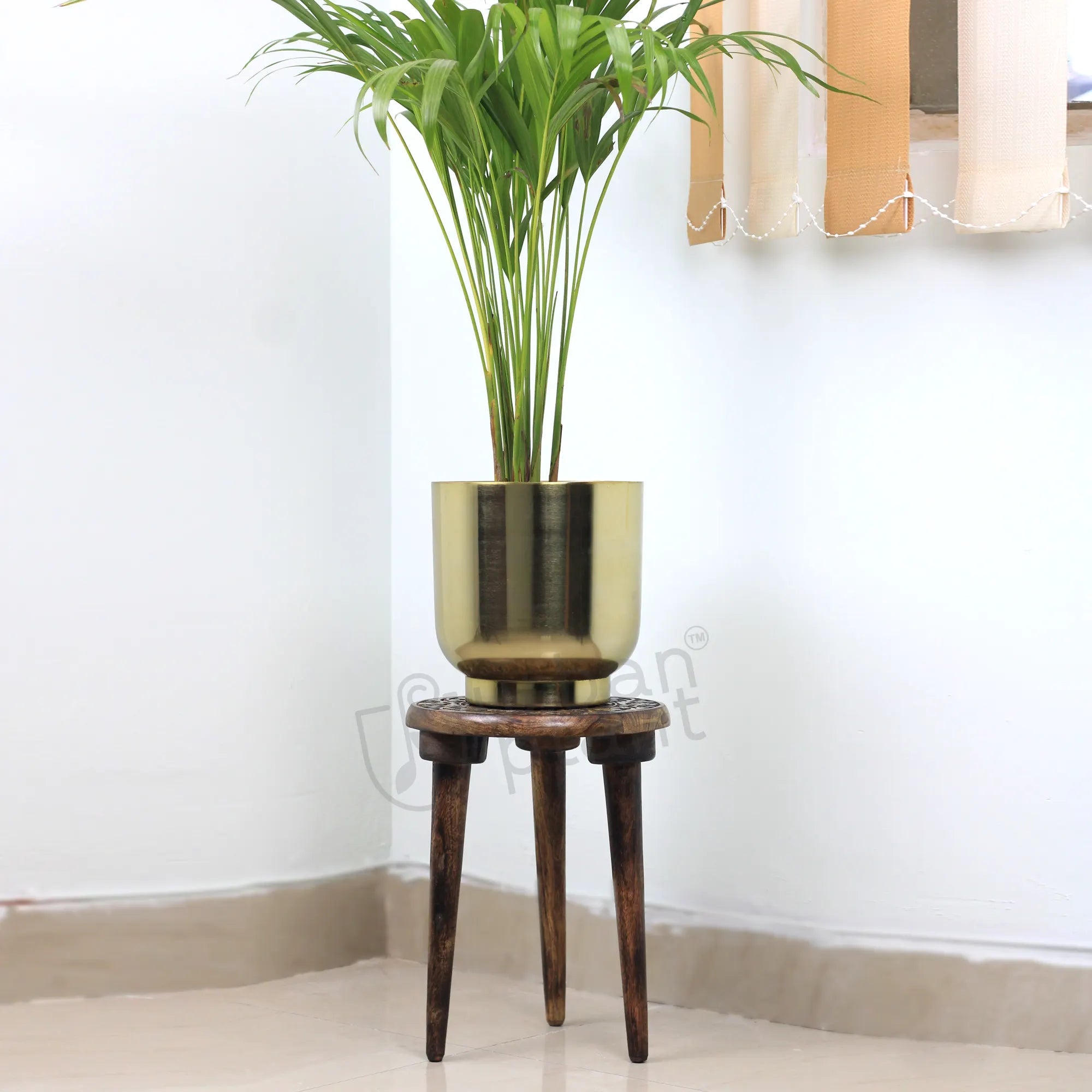 Modish Wooden Stool Planter Pot Stand Urban Plant 