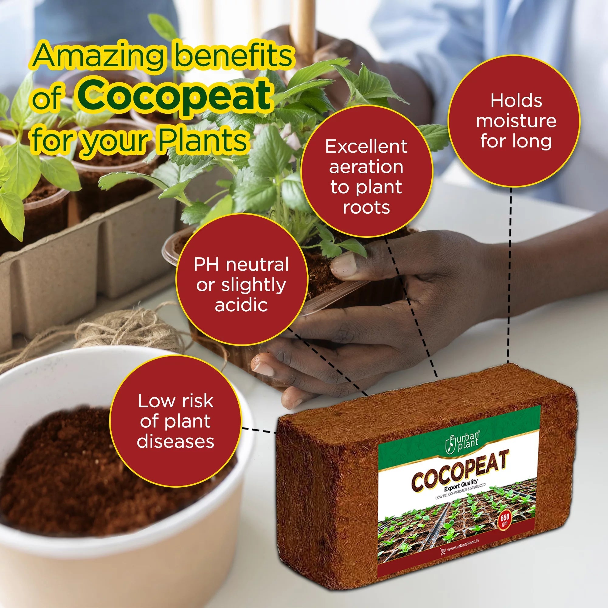 Cocopeat Brick 650 Gram Potting Mix Urban Plant 