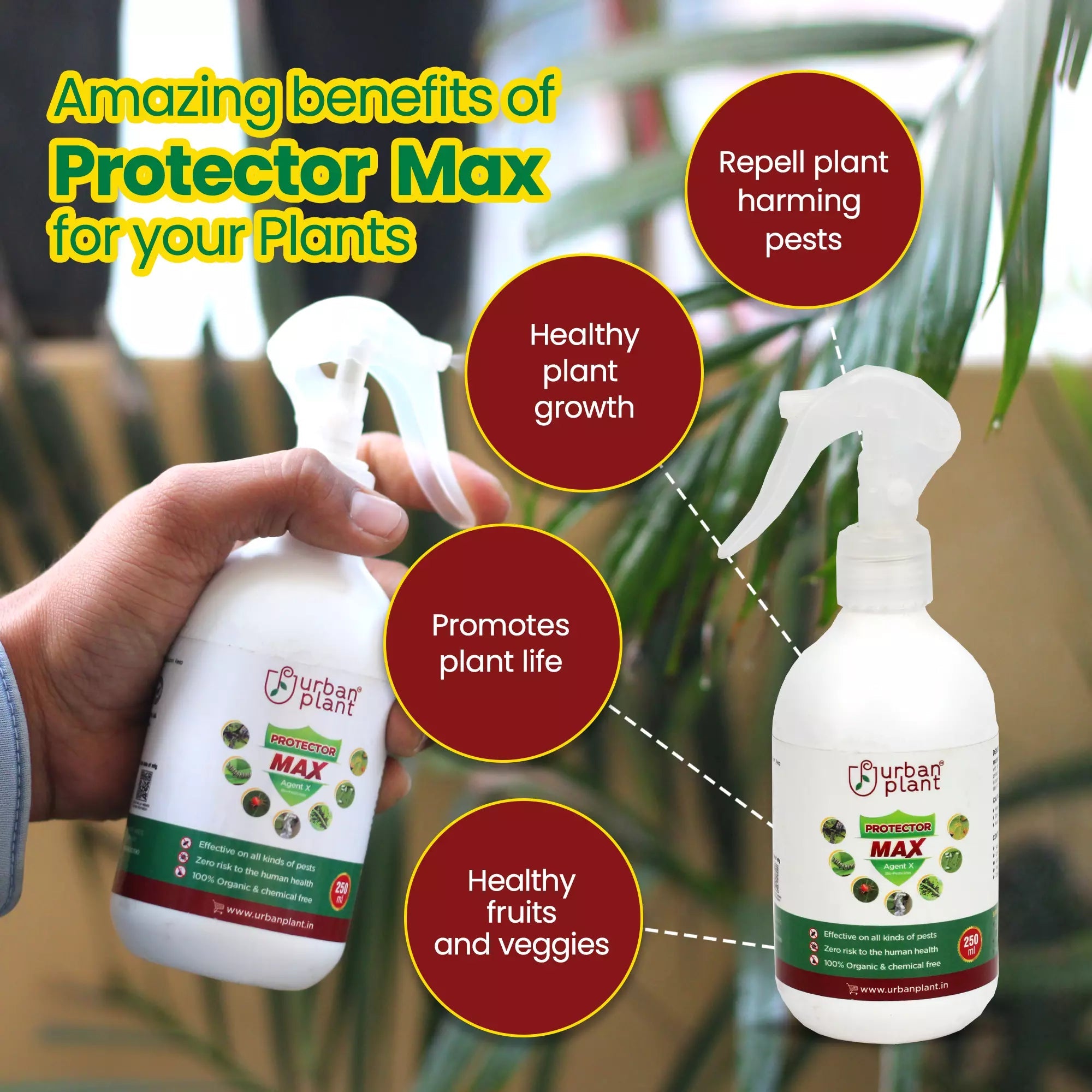 Protector MAX Pest Control for Vegetables, Fruits and Greenie Plant Diet Urban Plant 
