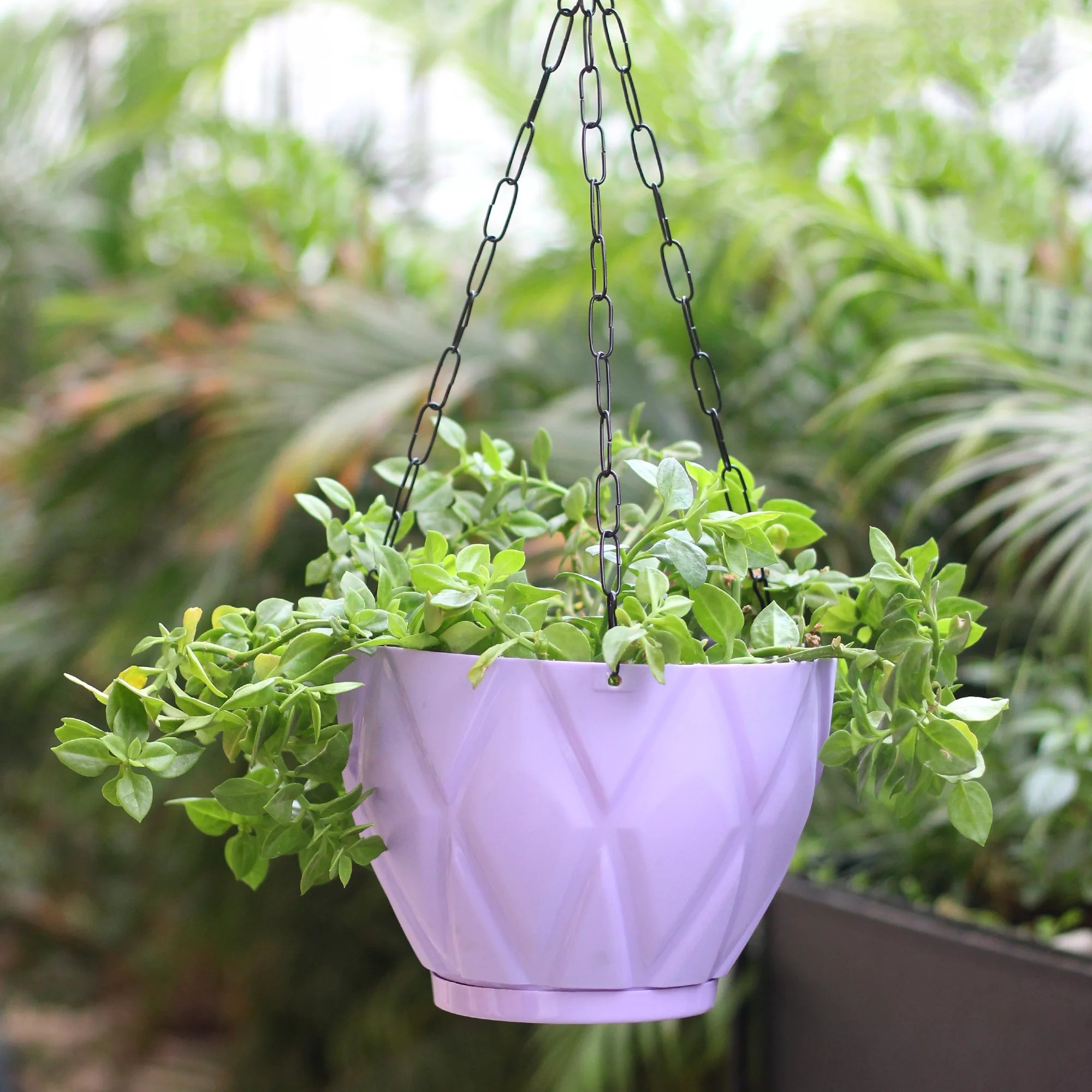 Plastic Hooked Hanging Planter Pot With Bottom Tray