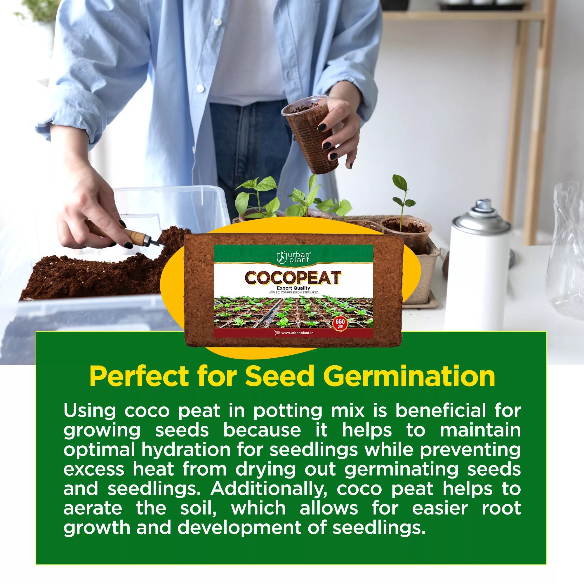 Cocopeat Brick 650 Gram Potting Mix Urban Plant 