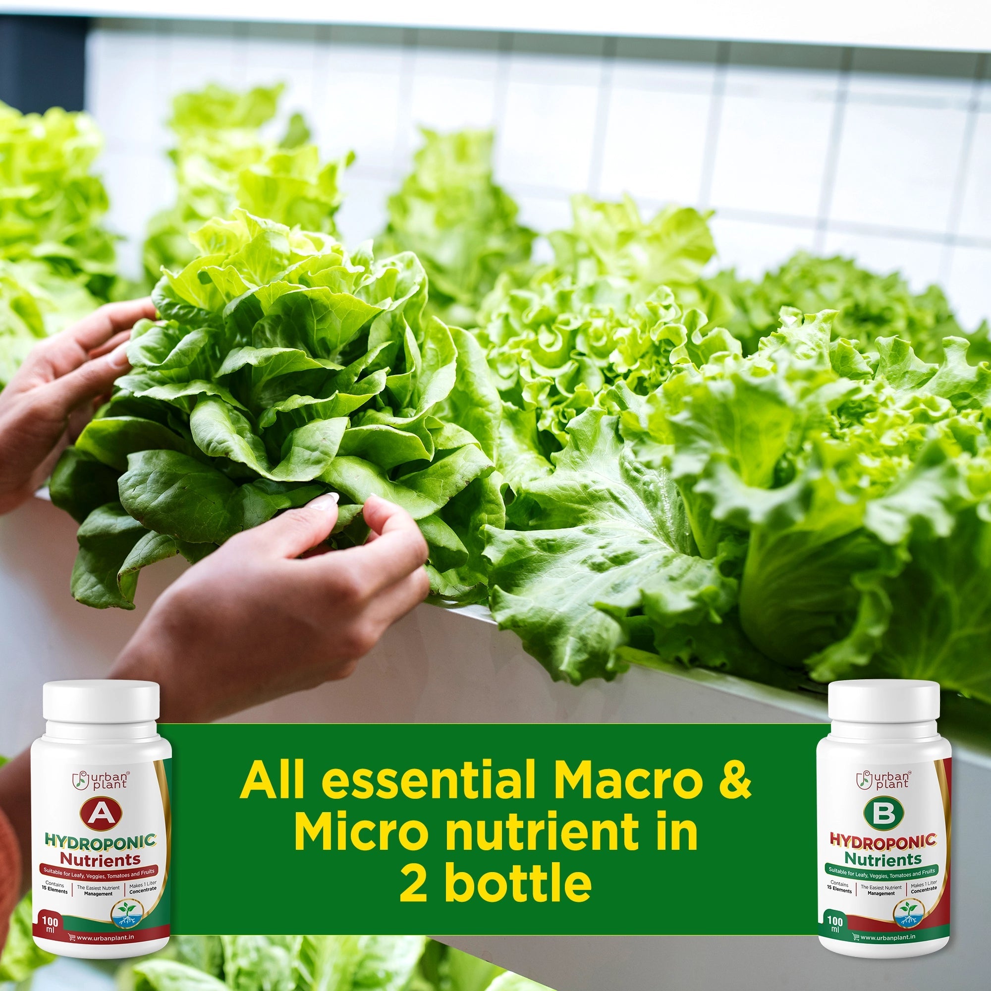 Hydroponic A&B Nutrients - 15 Essential Elements for Veggies, Leafy Greens, Tomatoes and Fruits 200ML Plant Diet Urban Plant 
