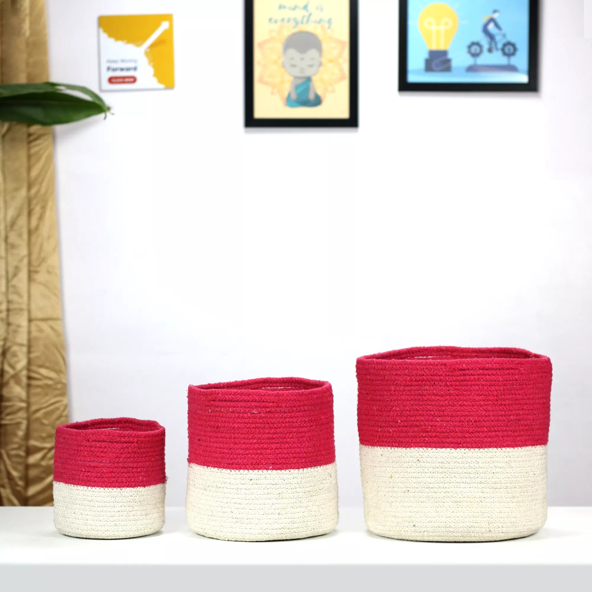 Twin Pink Cotton Planter, Dual-color cotton planter - Pack of 3 Cotton Planter Urban Plant 