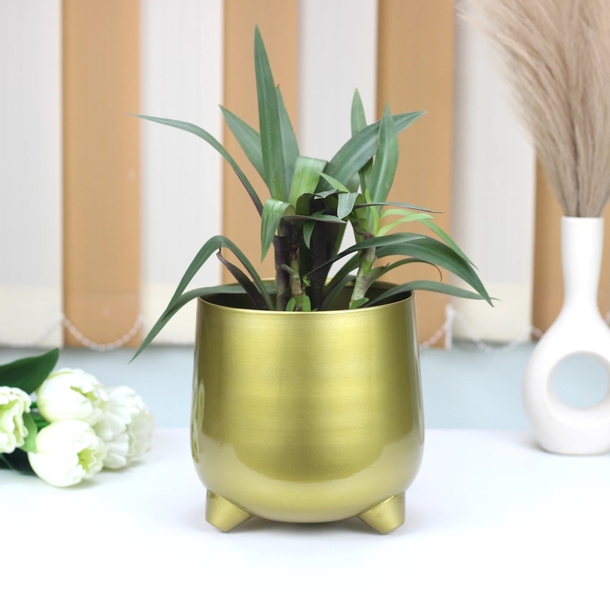 Gold Finish Metal Planter | Table Top Pot - 7.5 inch (No. 1509) Metal Planter Urban Plant 