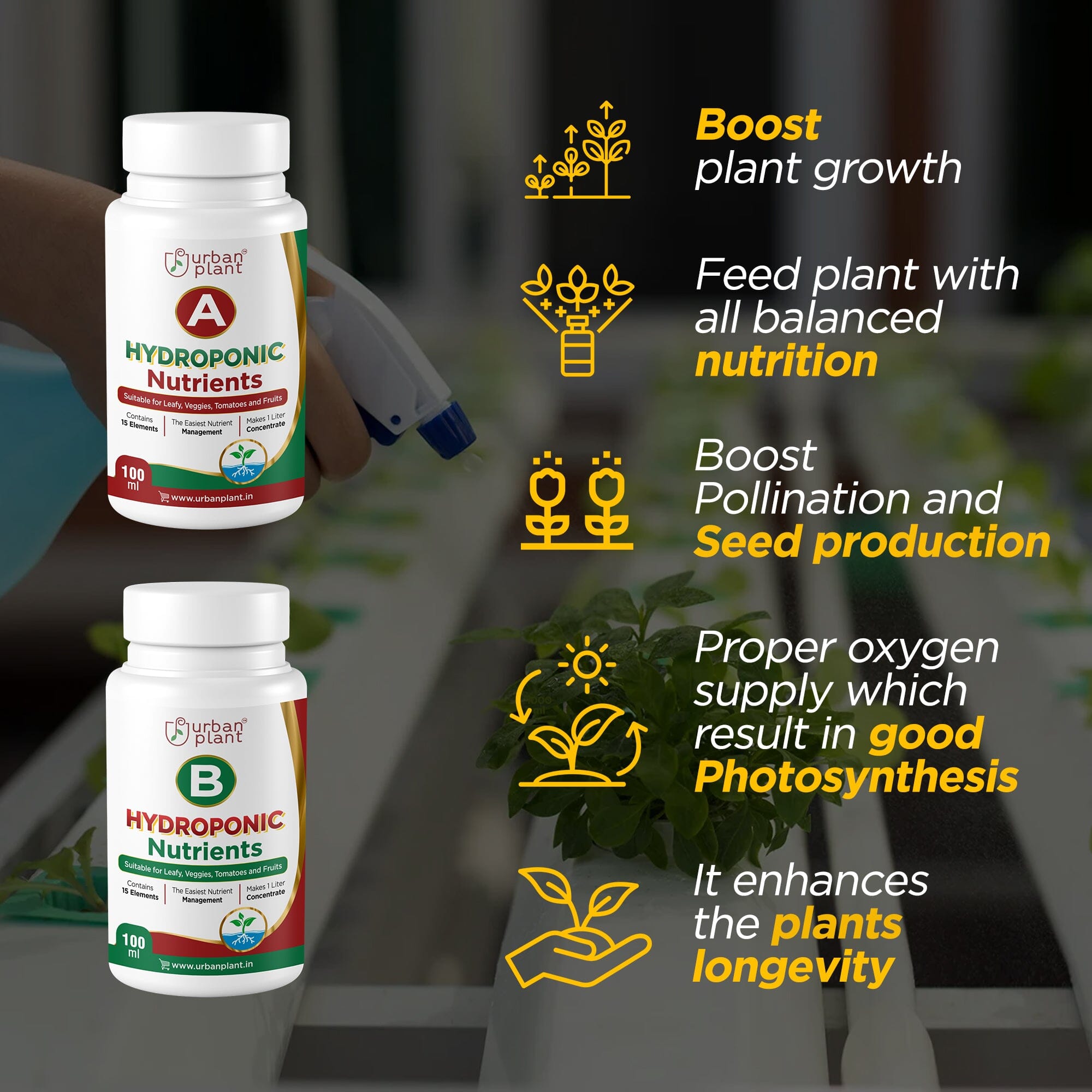 Hydroponic A&B Nutrients - 15 Essential Elements for Veggies, Leafy Greens, Tomatoes and Fruits 200ML Plant Diet Urban Plant 