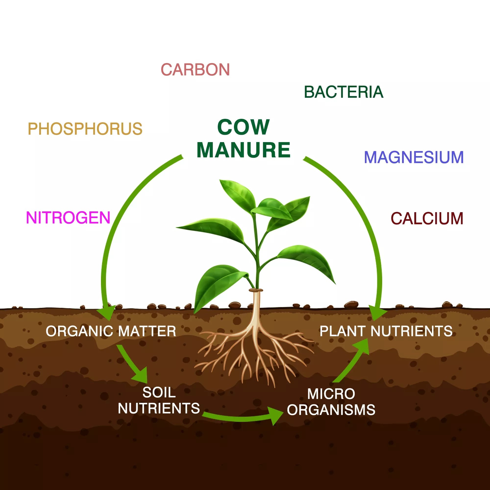Cow Manure for Plants Potting Mix Urban Plant 