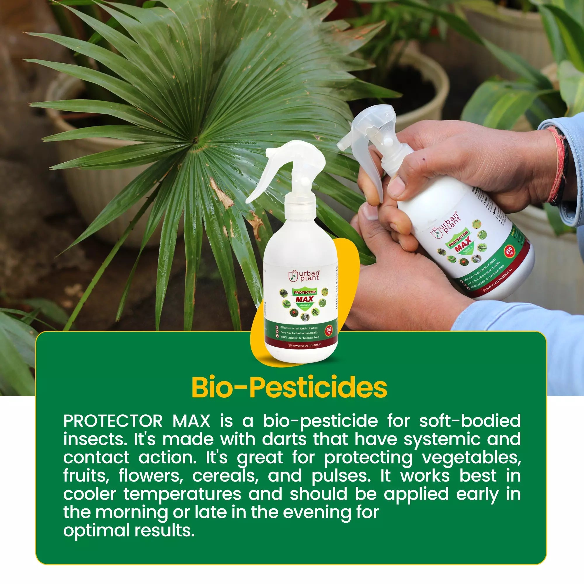 Protector MAX Pest Control for Vegetables, Fruits and Greenie Plant Diet Urban Plant 