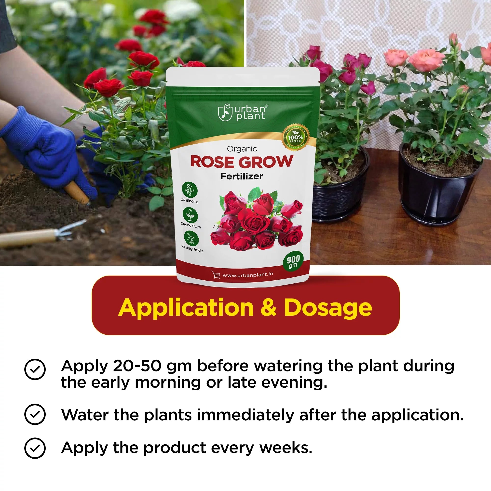 Rose Booster Fertilizer for Rose Plants 900g Potting Mix Urban Plant 