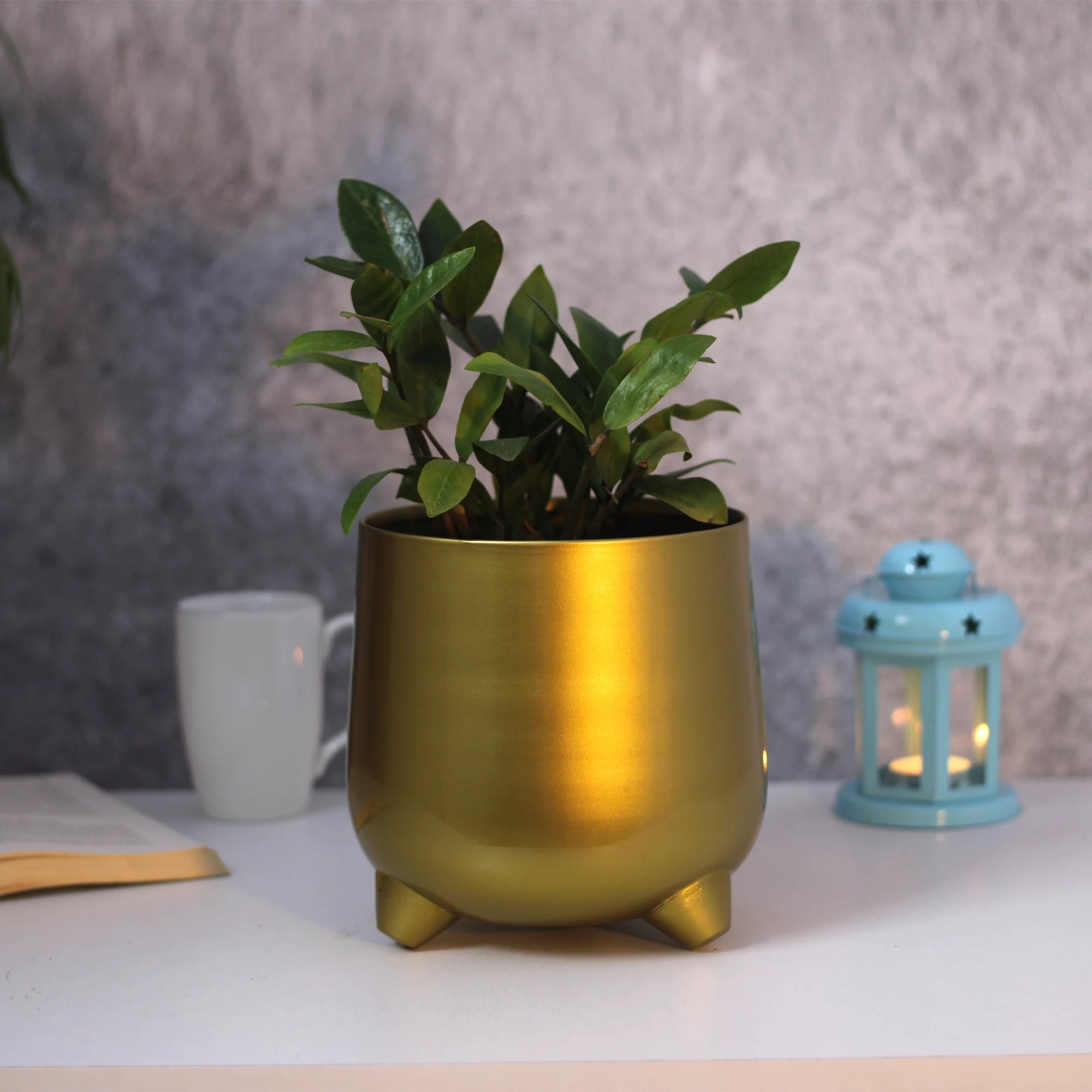 Gold Finish Metal Planter | Table Top Pot - 7.5 inch (No. 1509) Metal Planter Urban Plant 