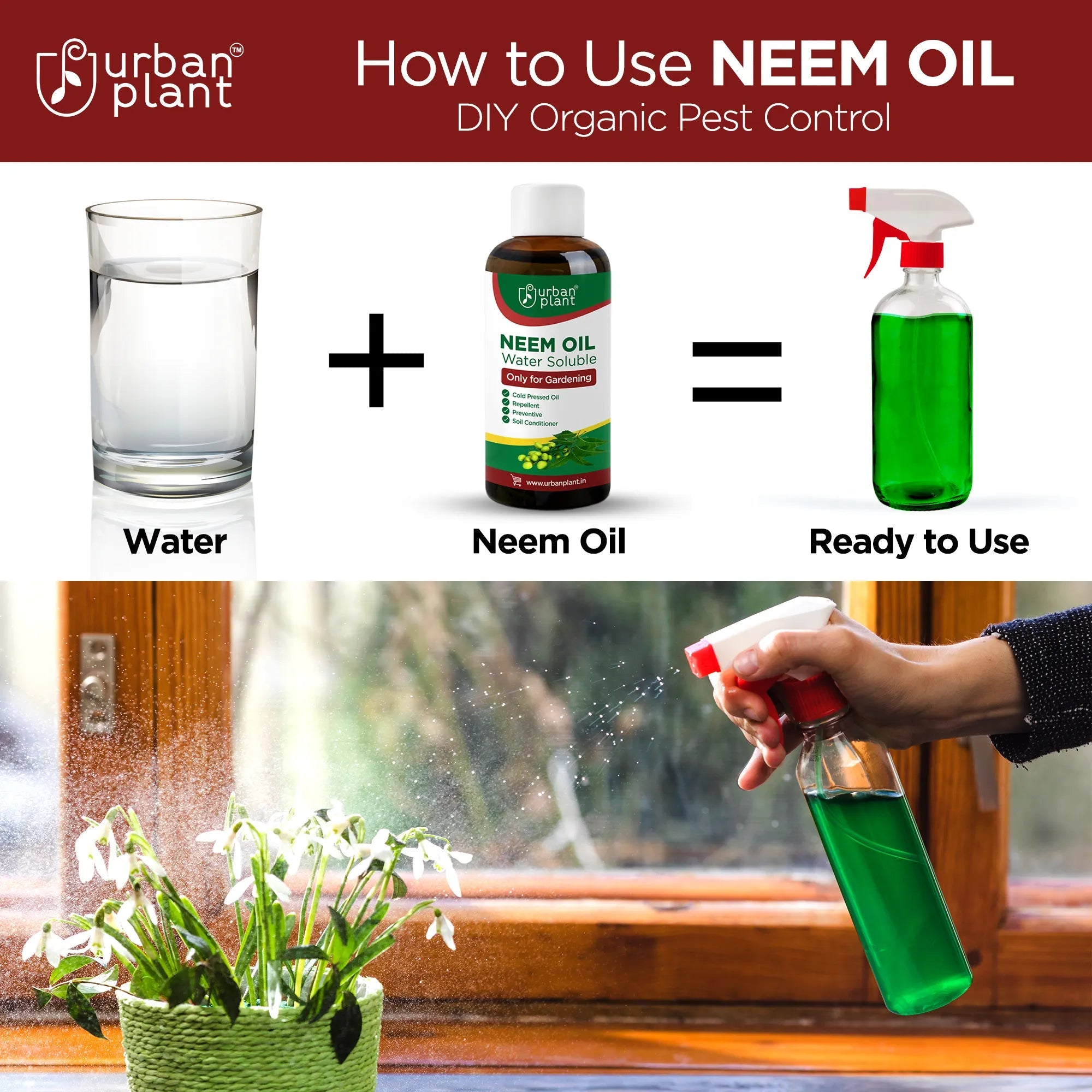 Urban Plant Neem Oil - Water Soluble Organic for Easy Spray on Garden and Indoor/Outdoor plants- 100ml Plant Care Urban Plant 